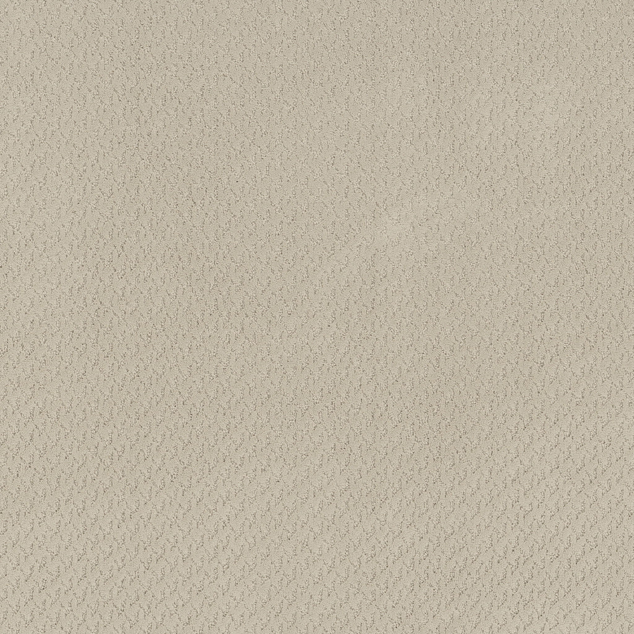 APERTURE CANVAS MAIN