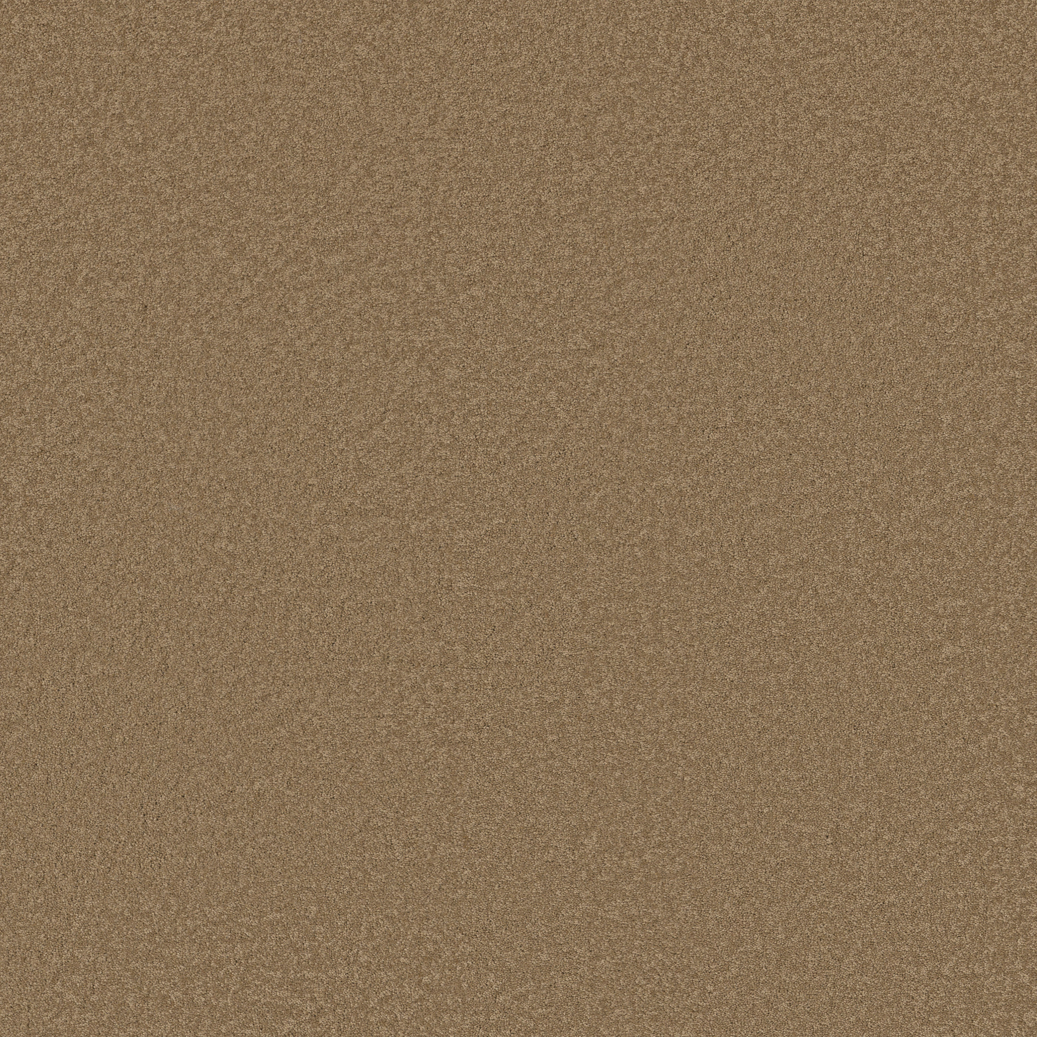 MAGIC AT LAST I 12&#x27; MALTED MILK MAIN