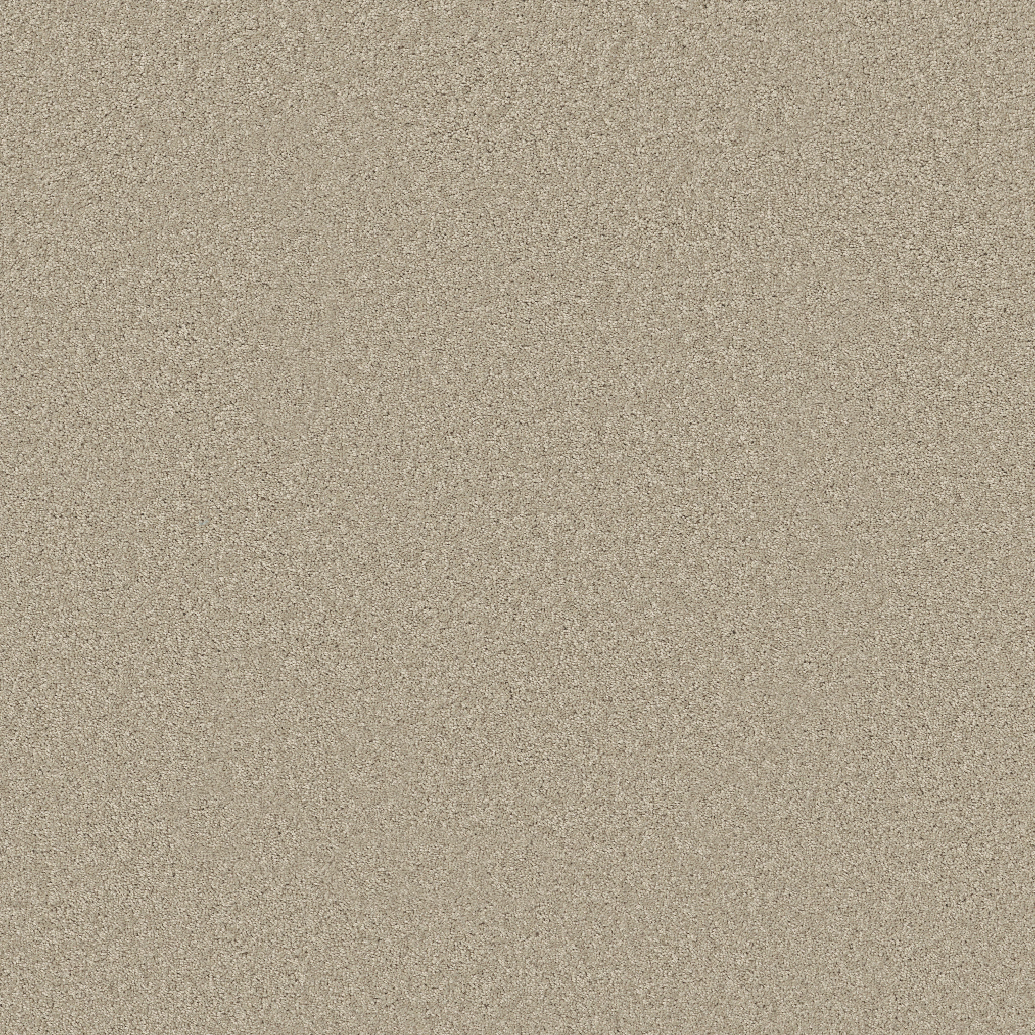 LAGUNA BEACH SOFT CHAMOIS MAIN