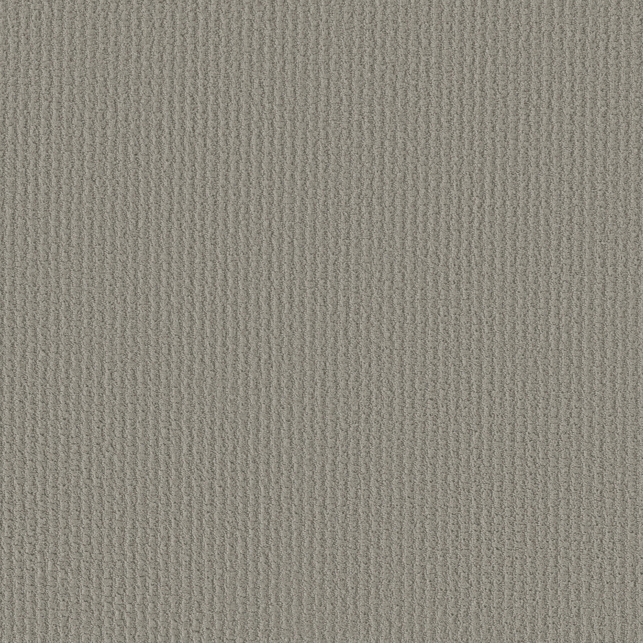 COMPLETE CONTROL SILHOUETTE MAIN