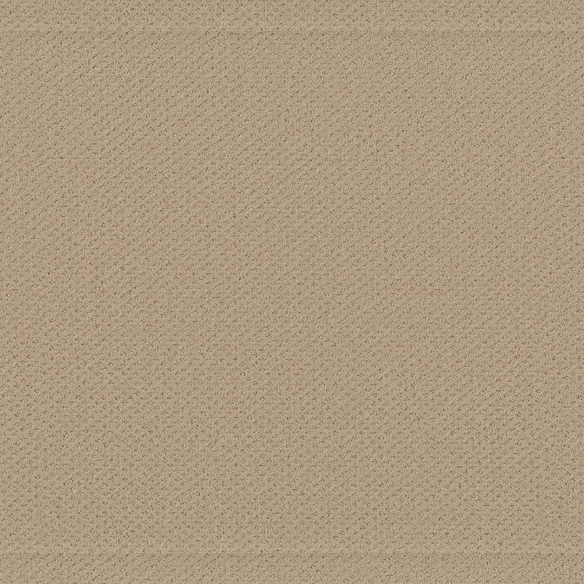 AUSTIN PARK SOFT HONEY MAIN