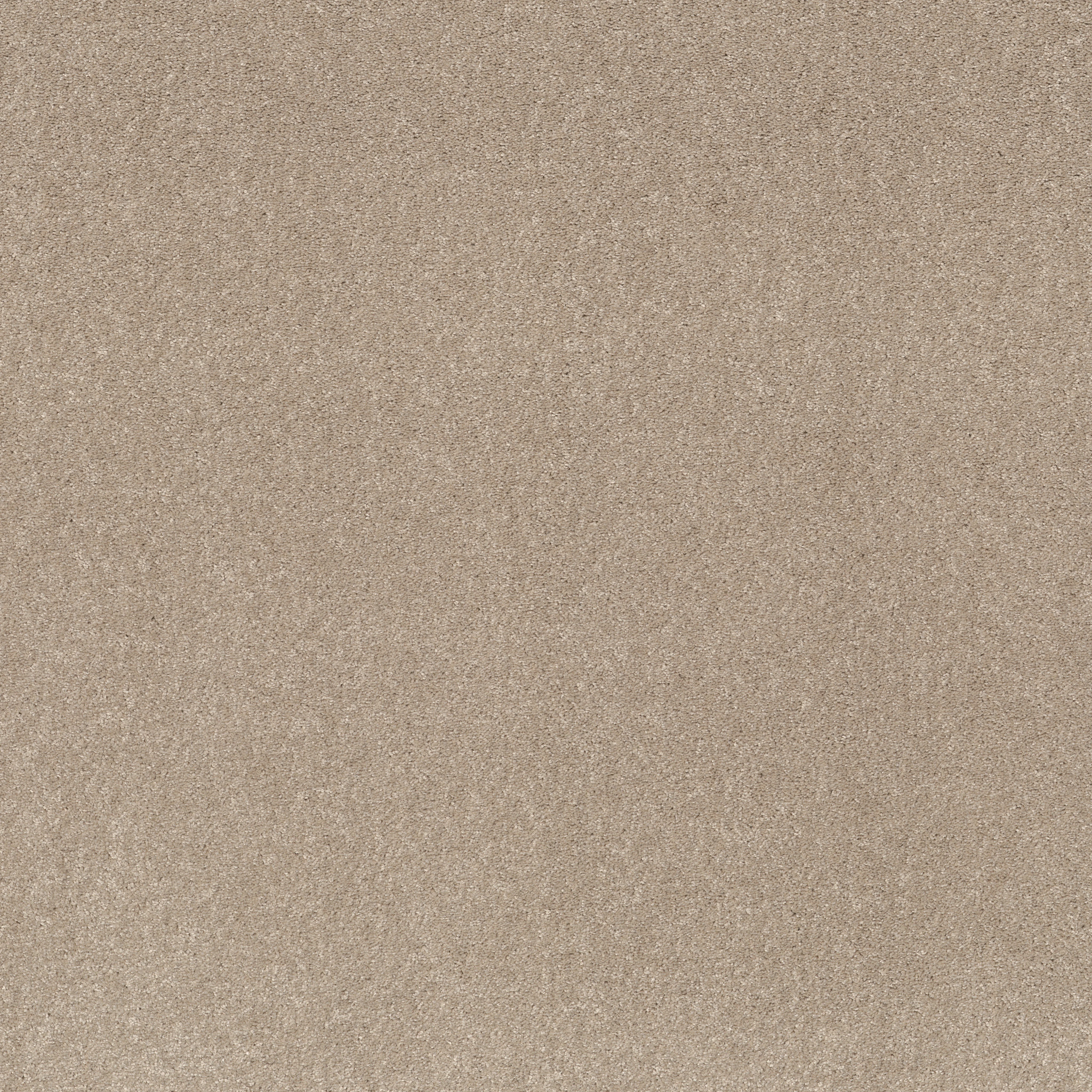 SMOOTH TALK II TASSEL MAIN