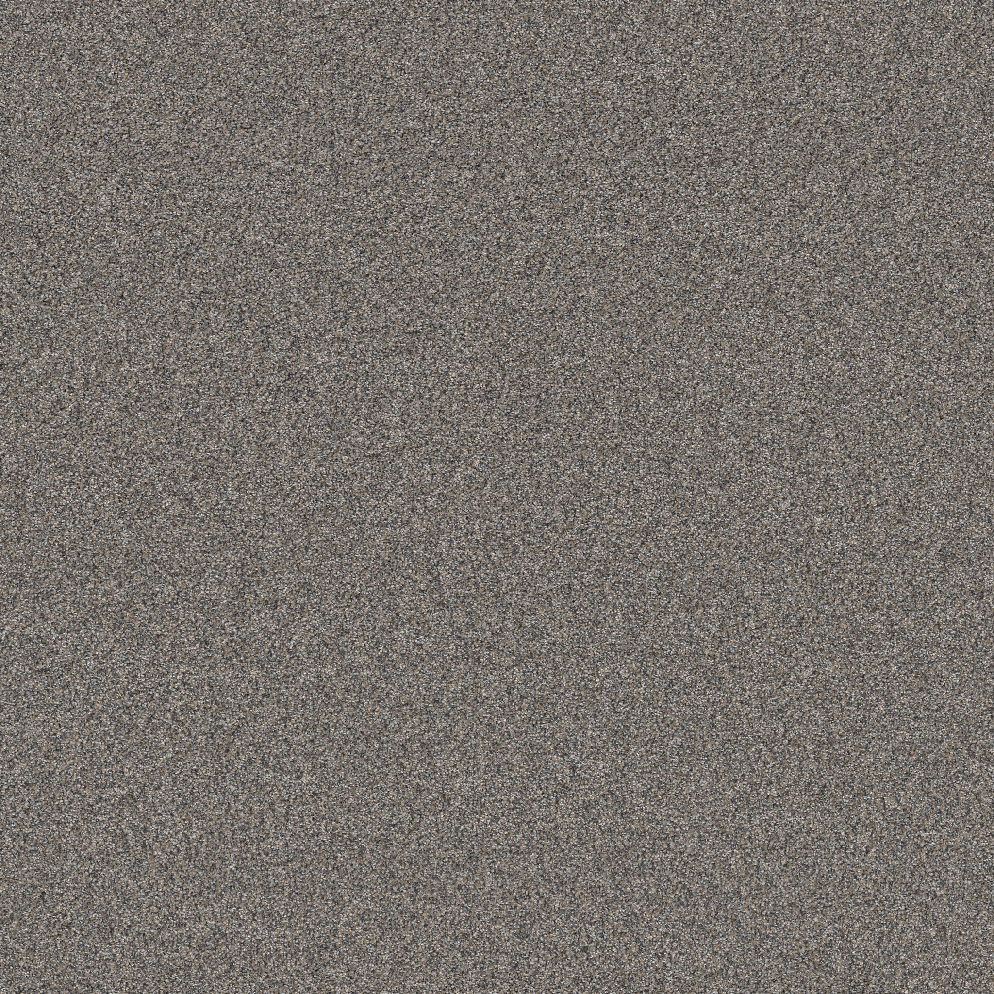 ARTISTIC FUSION I SHADOW MAIN