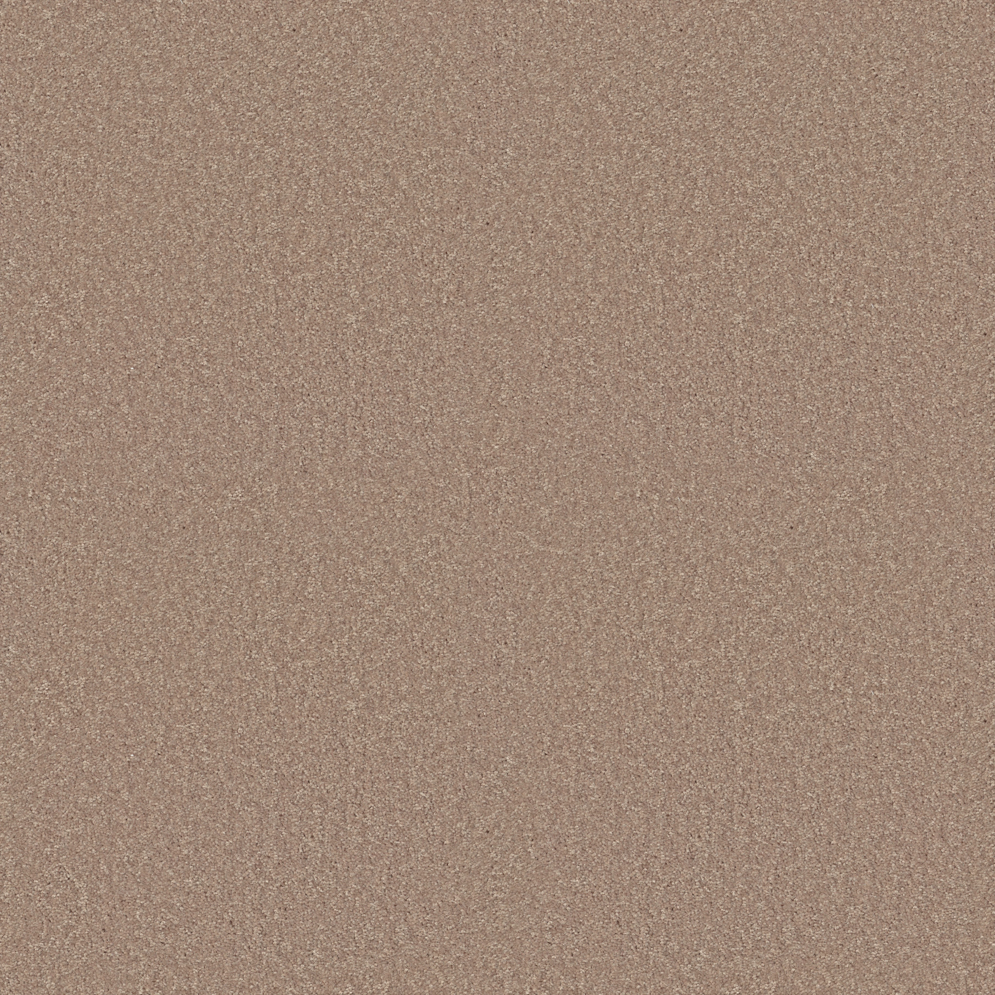 ESSAY II 15' FIELD KHAKI MAIN