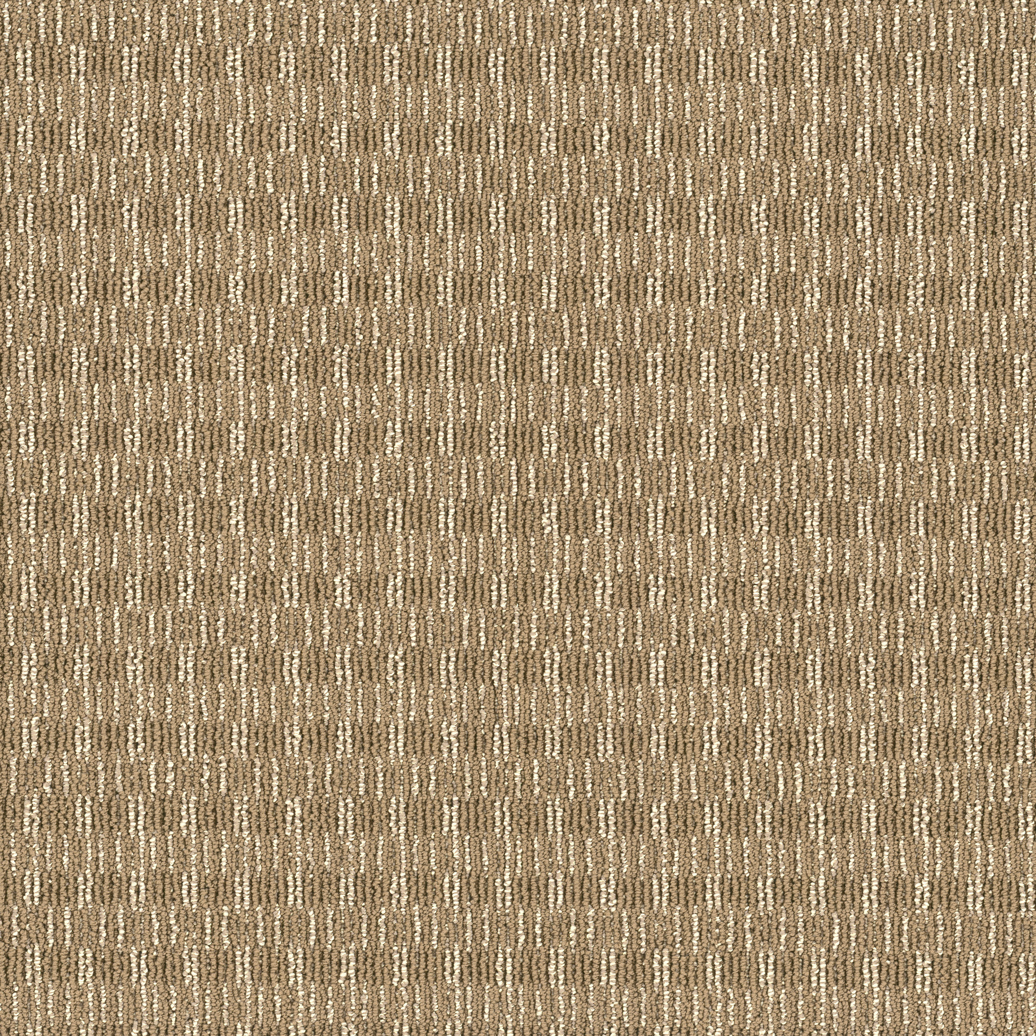 BE-REAL-54809-PURPOSE-00700-main-image