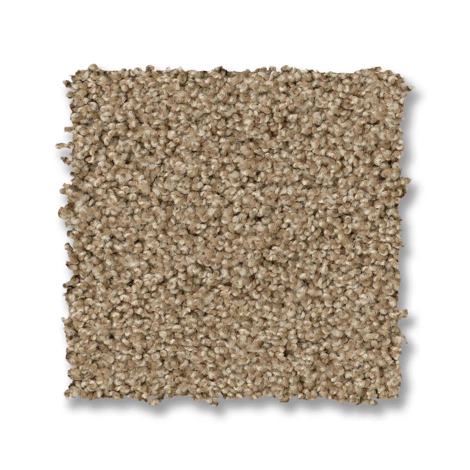 PARK HAVEN SERENGETI SWATCH