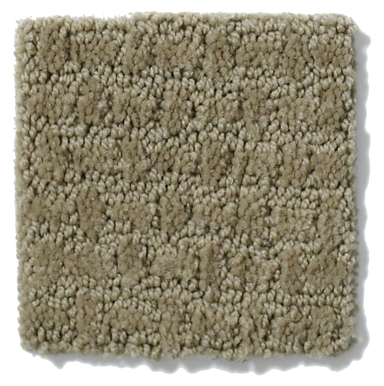 PROPEL PRAIRIE SWATCH