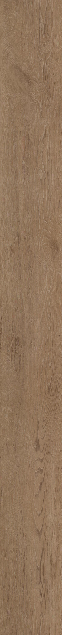 BALTIMORE OAK 84 1TO1