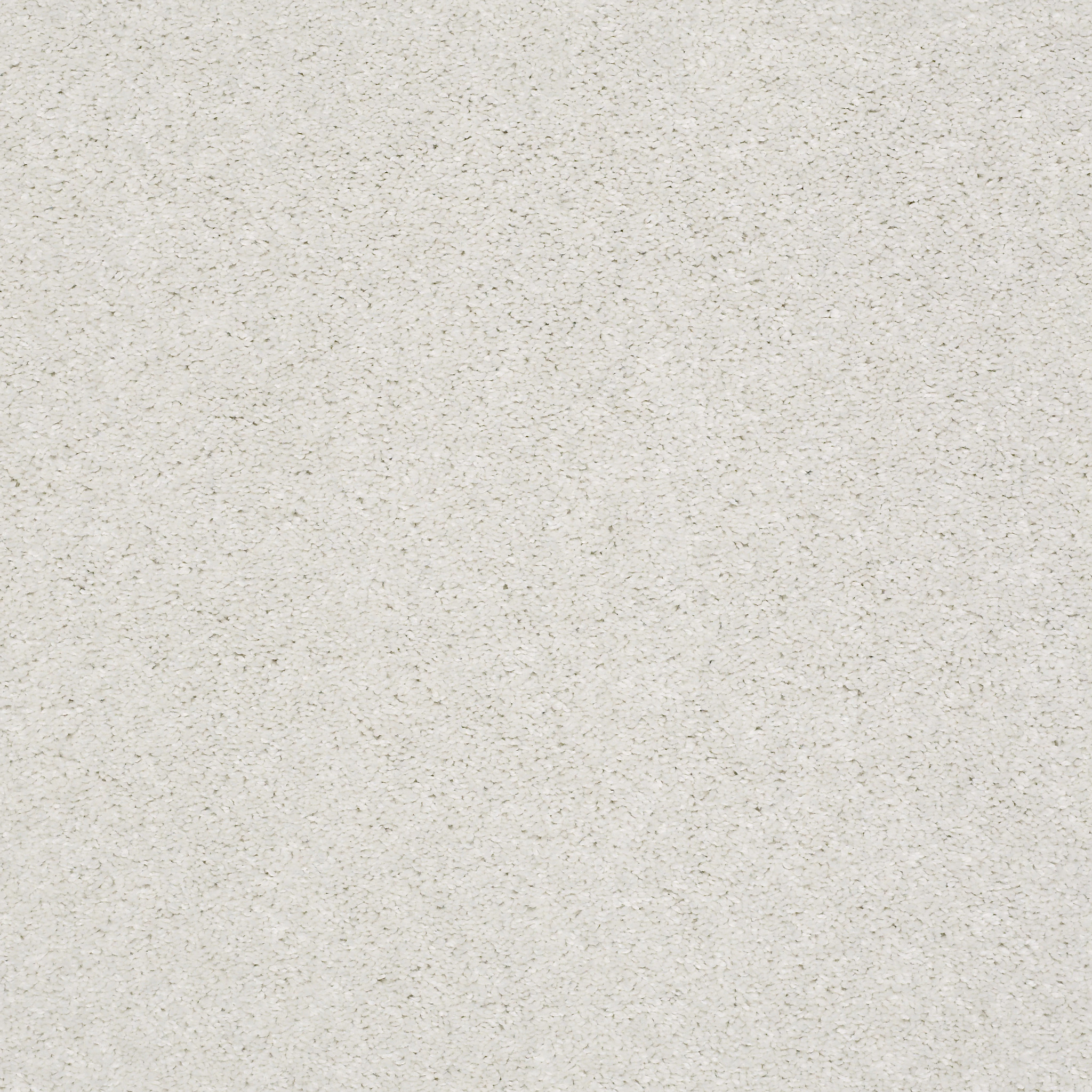 AFTER ALL I SUGAR COOKIE MAIN