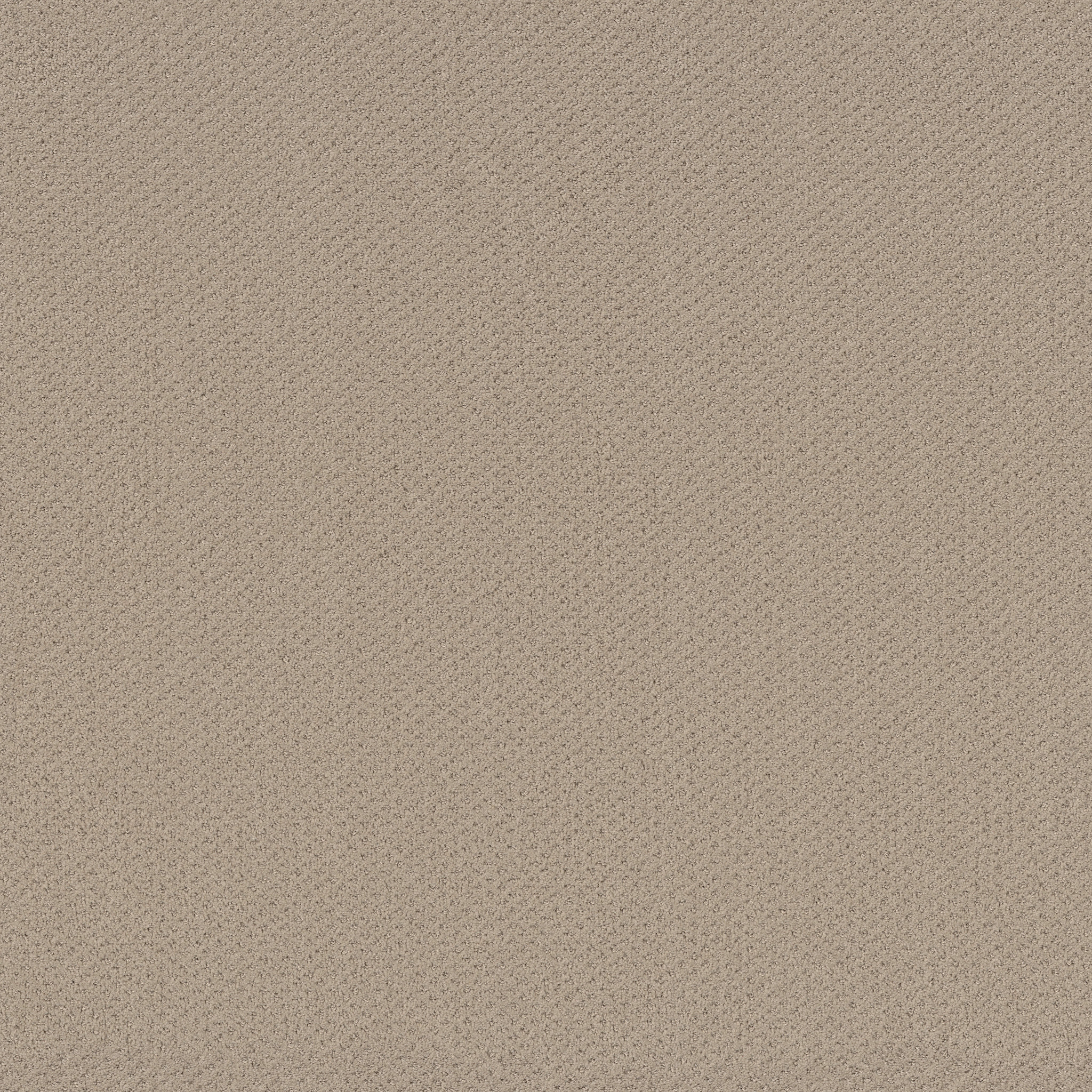 INFALLIBLE INSTINCT BOUTIQUE MAIN