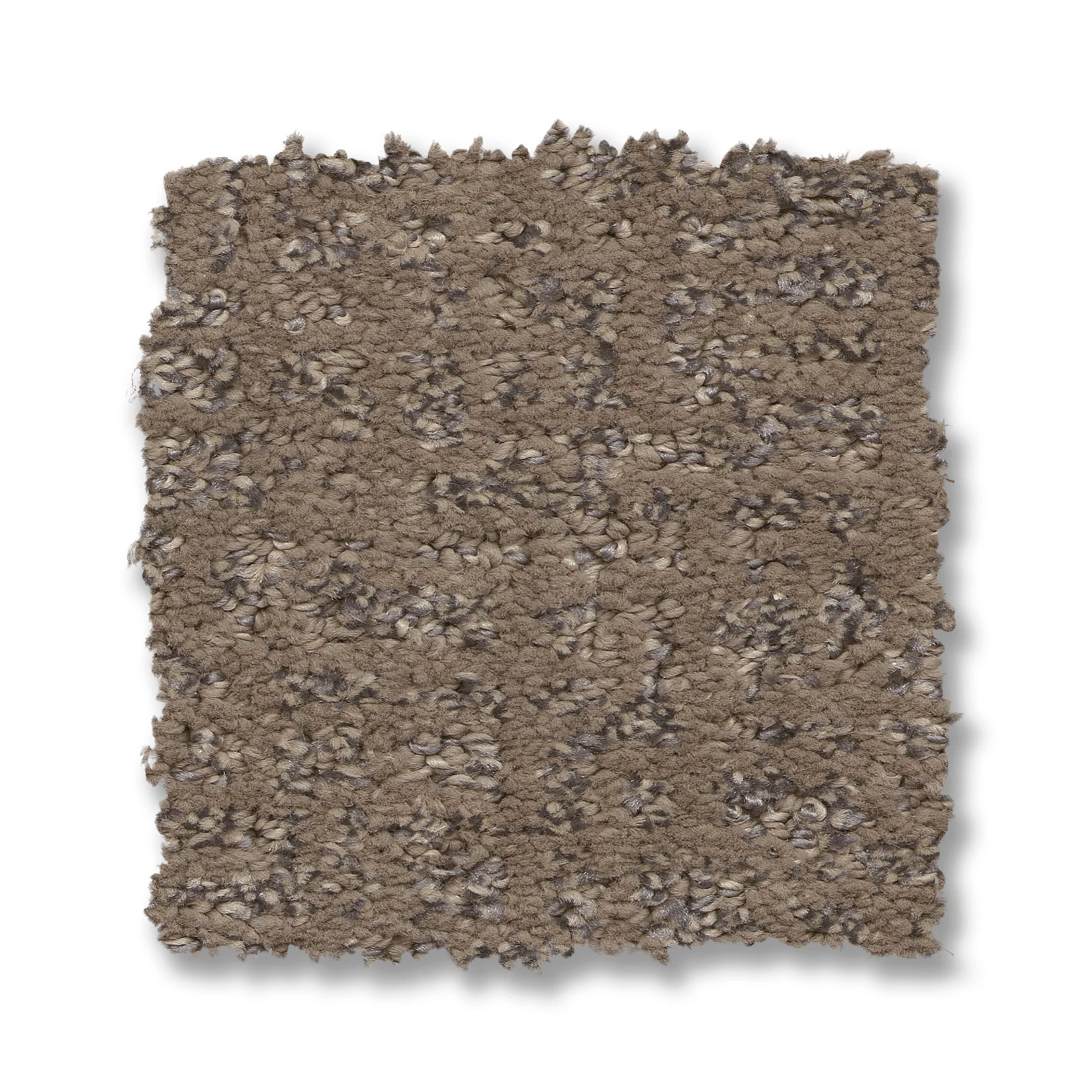 CABOODLE SABLE SWATCH