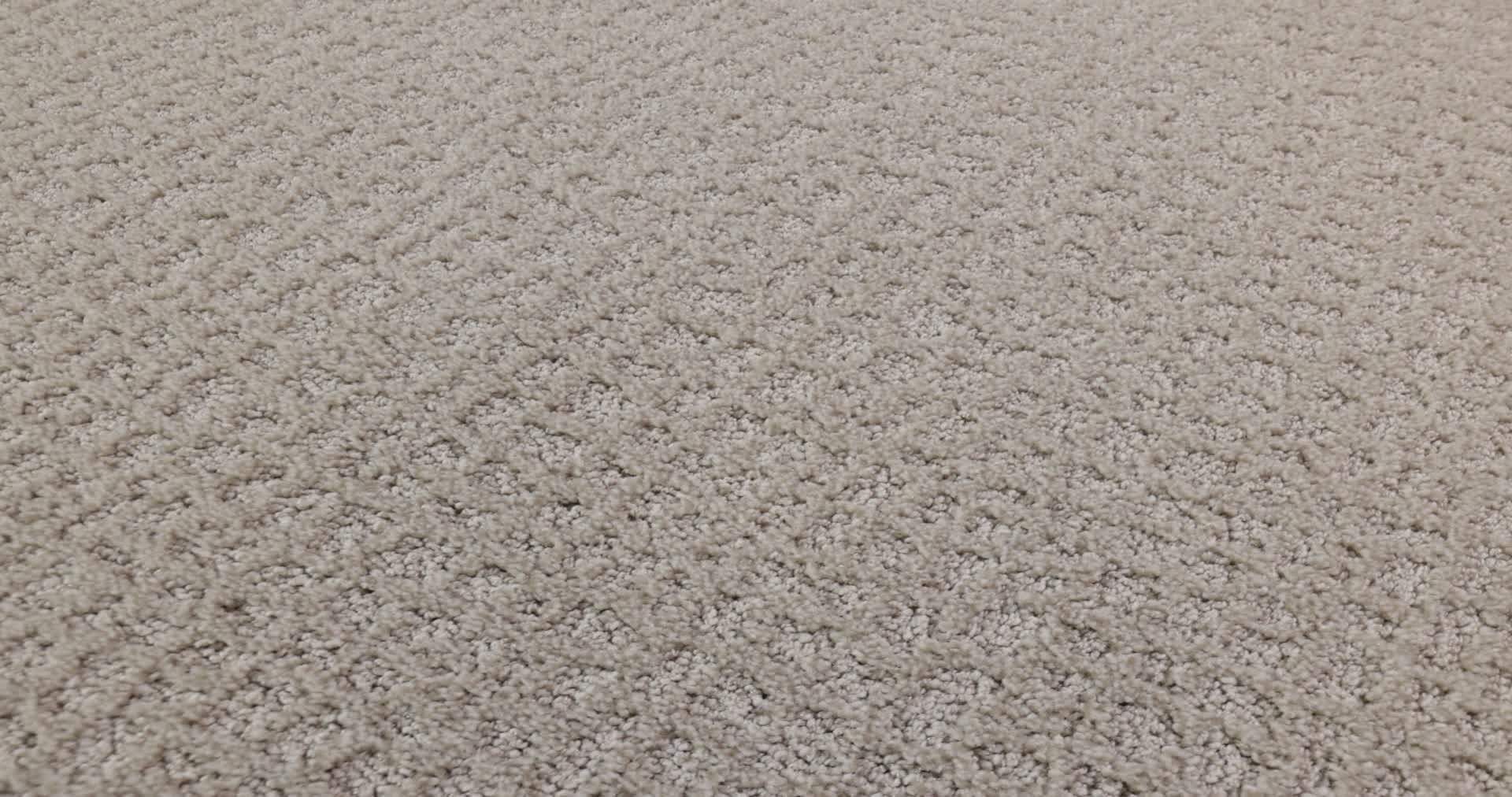 CHIC SHADES WINTERS DAWN 360PROD