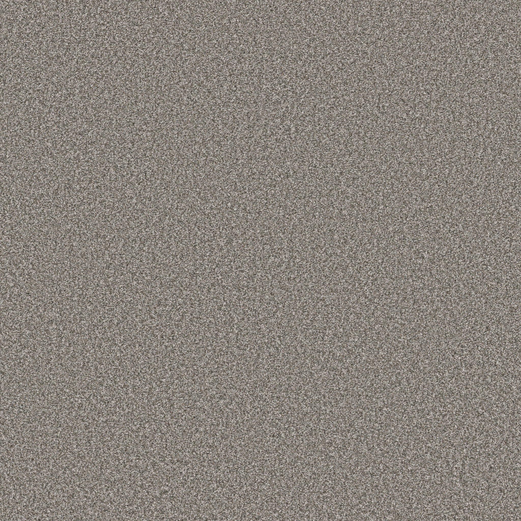 TWEED COMFORT BLUE SING ALONG MAIN