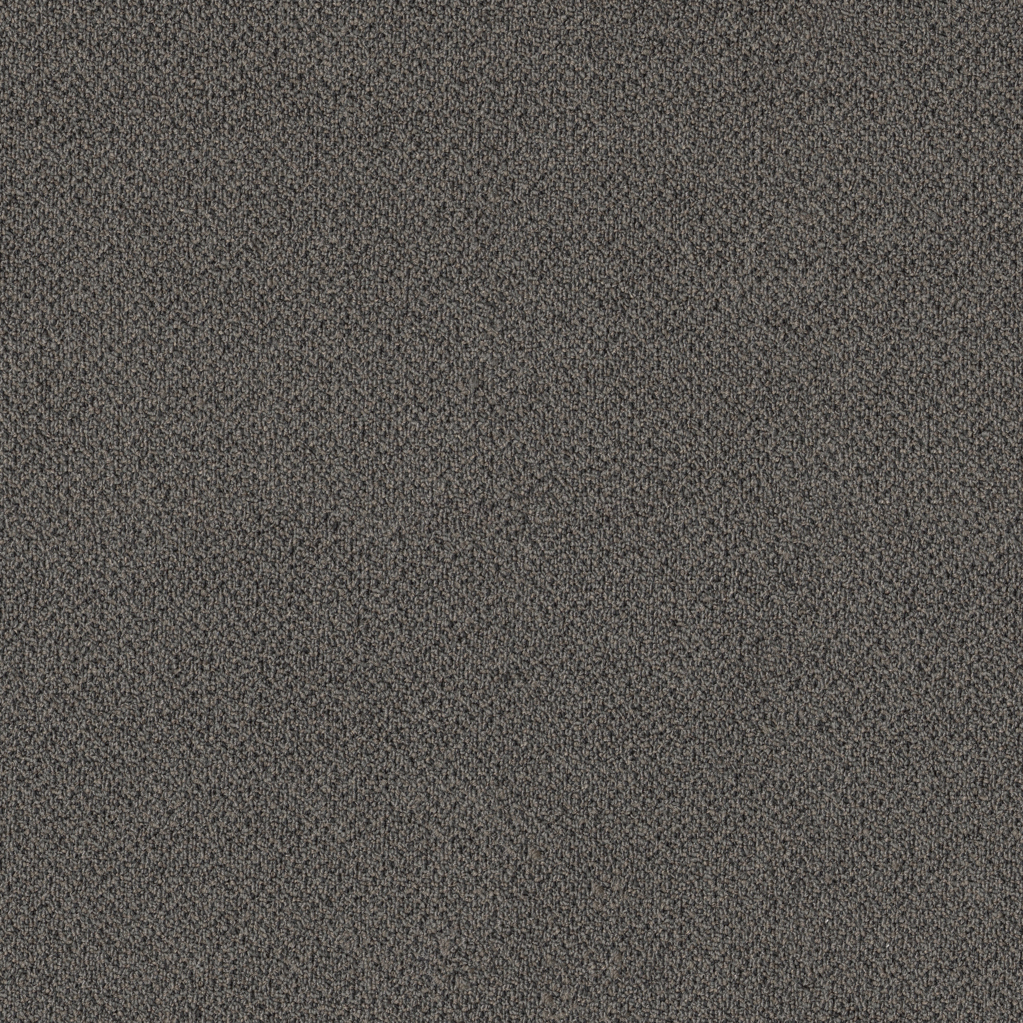 SMALL-WONDER-54984-NOTABLE-84505-main-image