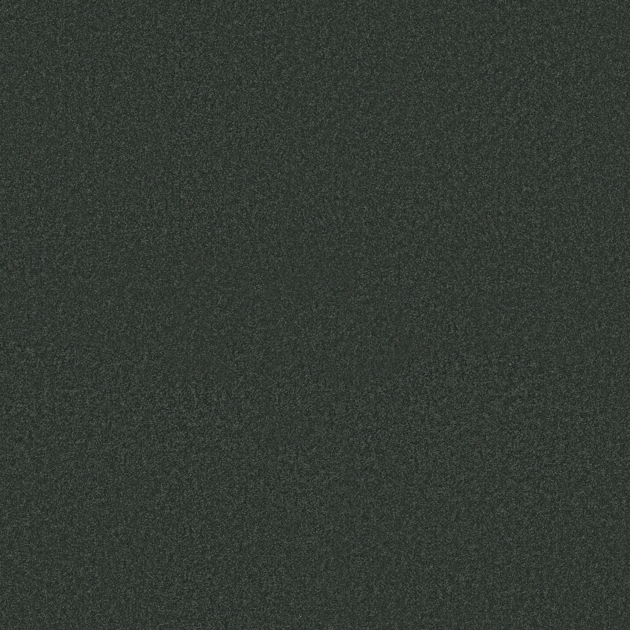 SANDY HOLLOW CLASSIC IV 15' LAGOON MAIN