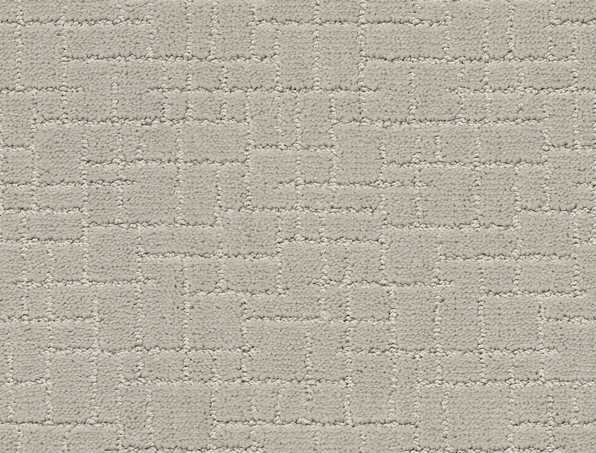 FAUX PAW SILVER FOX MAIN