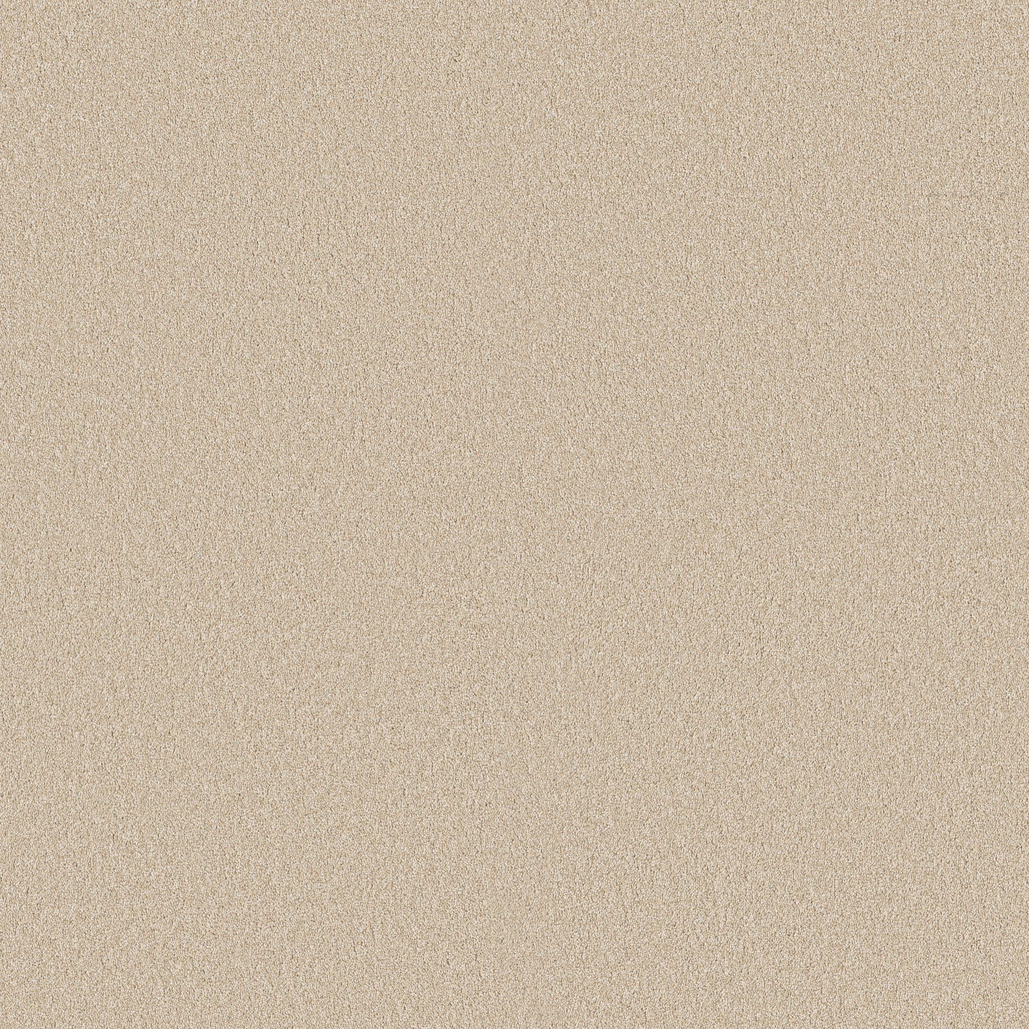 CLASSIC TONE SAFARI MAIN