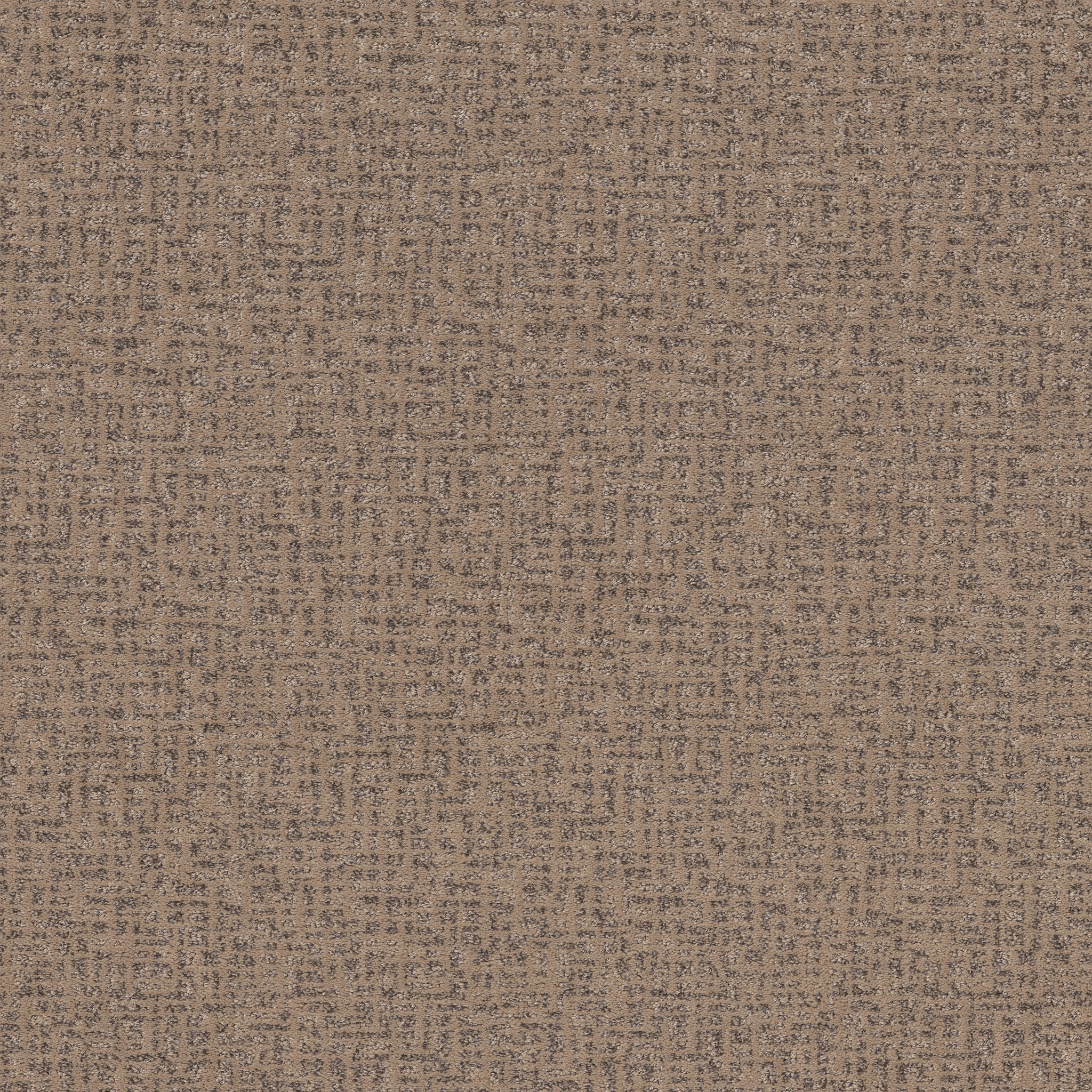 CABOODLE CAMELBACK MAIN