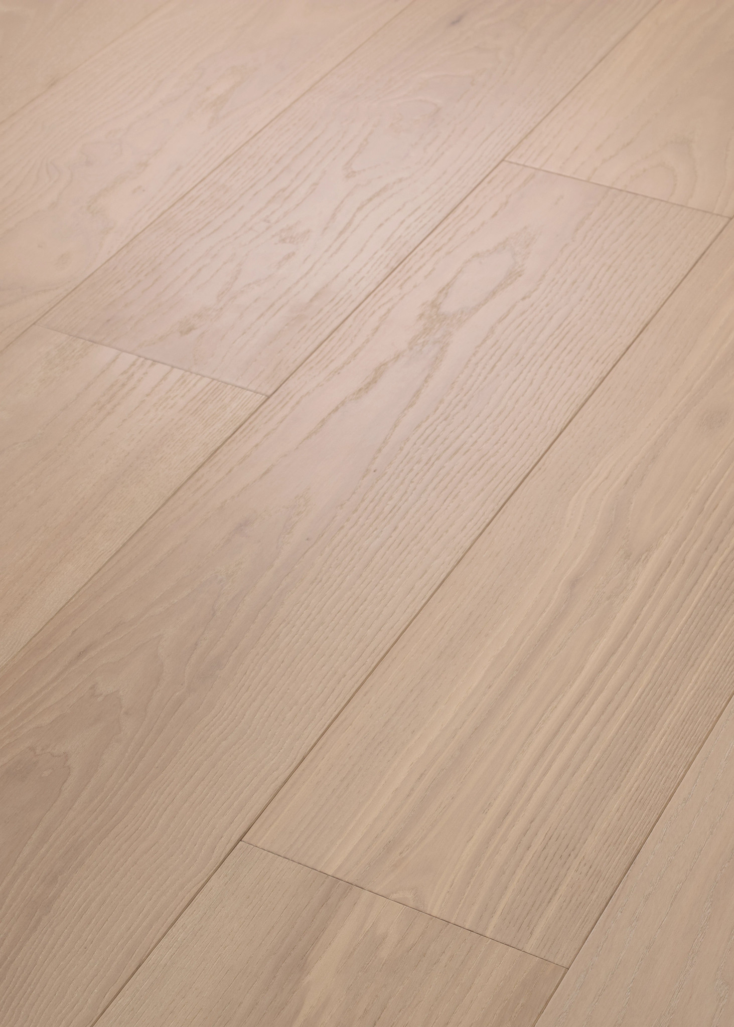 EUROPEAN ASH CARNIVAL ANGLED