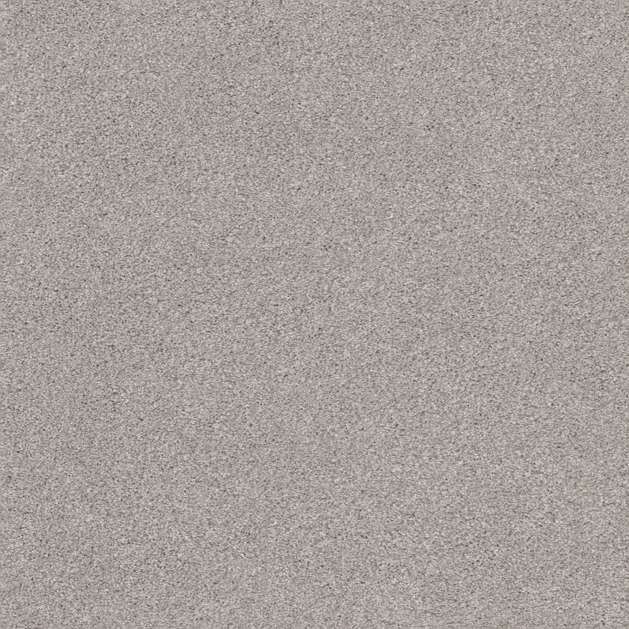 COZY HARBOR II COLD WINTER MAIN