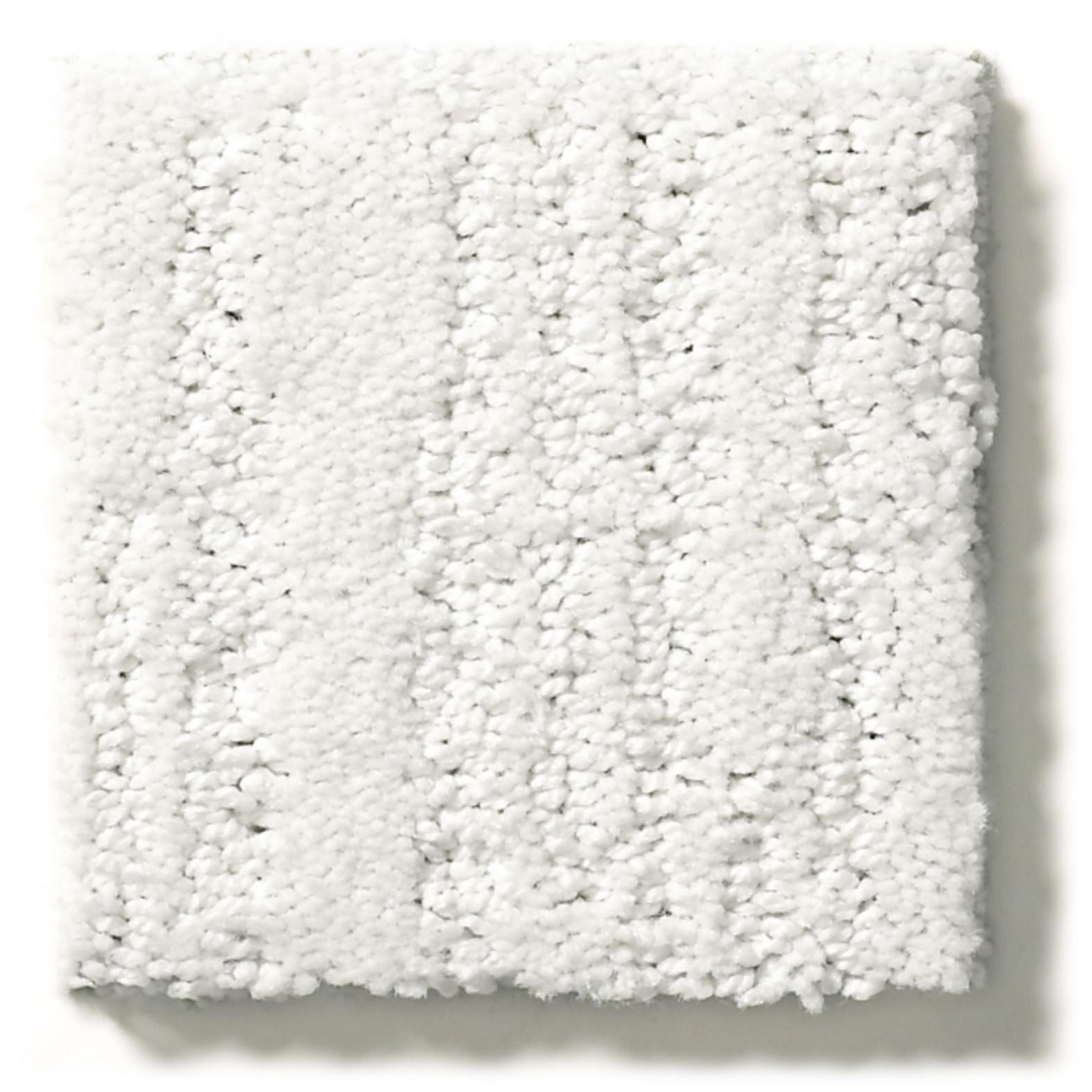 MAKING MEMORIES GALLERY OPENING SWATCH