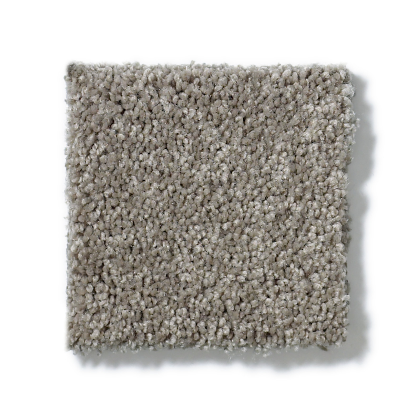 SERENDIPITY I WILD DOVE SWATCH