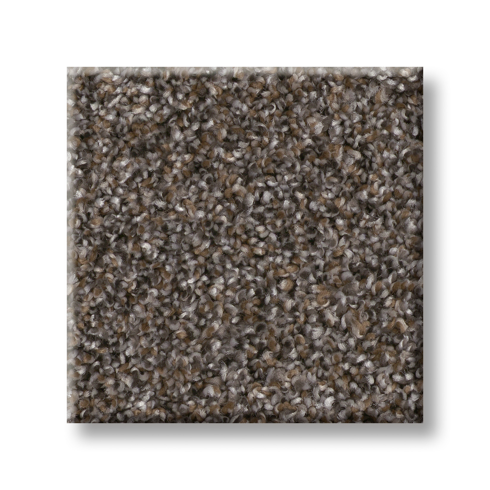 YES YOU CAN III 15' CAFE NOIR SWATCH