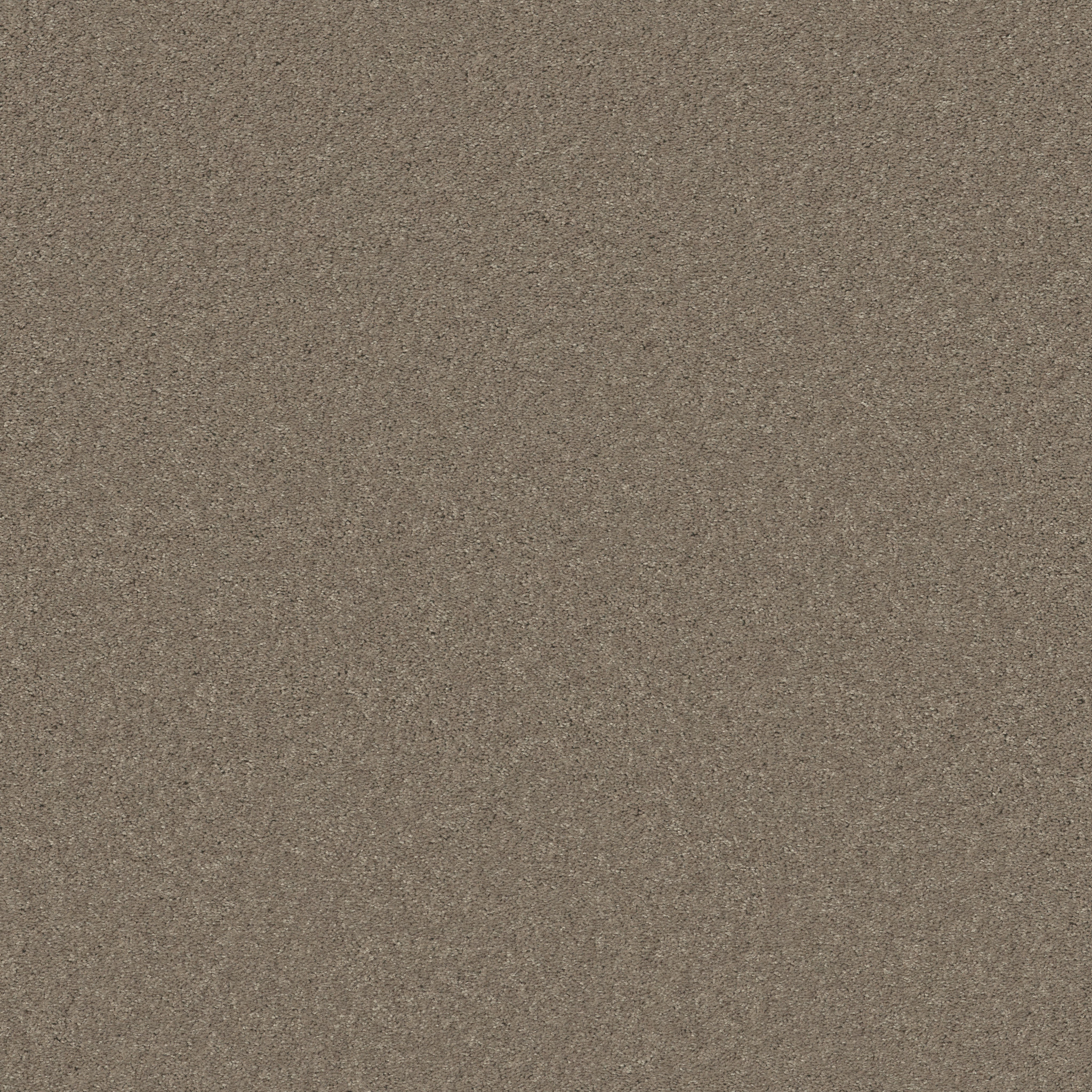 BEAUTIFULLY SIMPLE I 15' WILD RICE MAIN