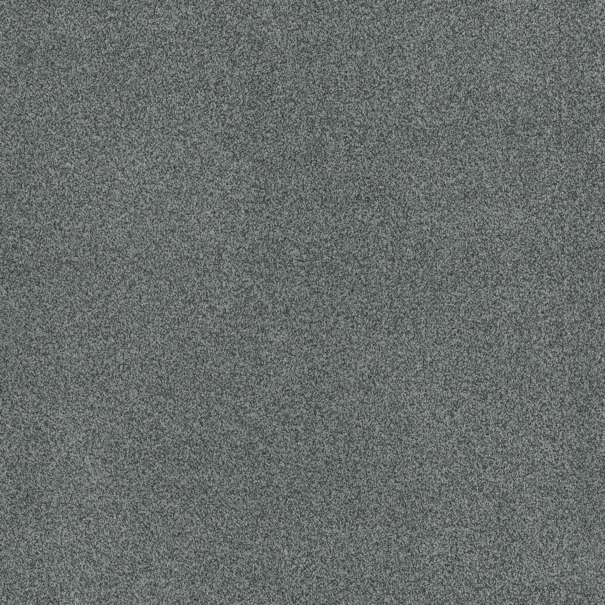 TERRA NOVA NORWEGIAN MAIN