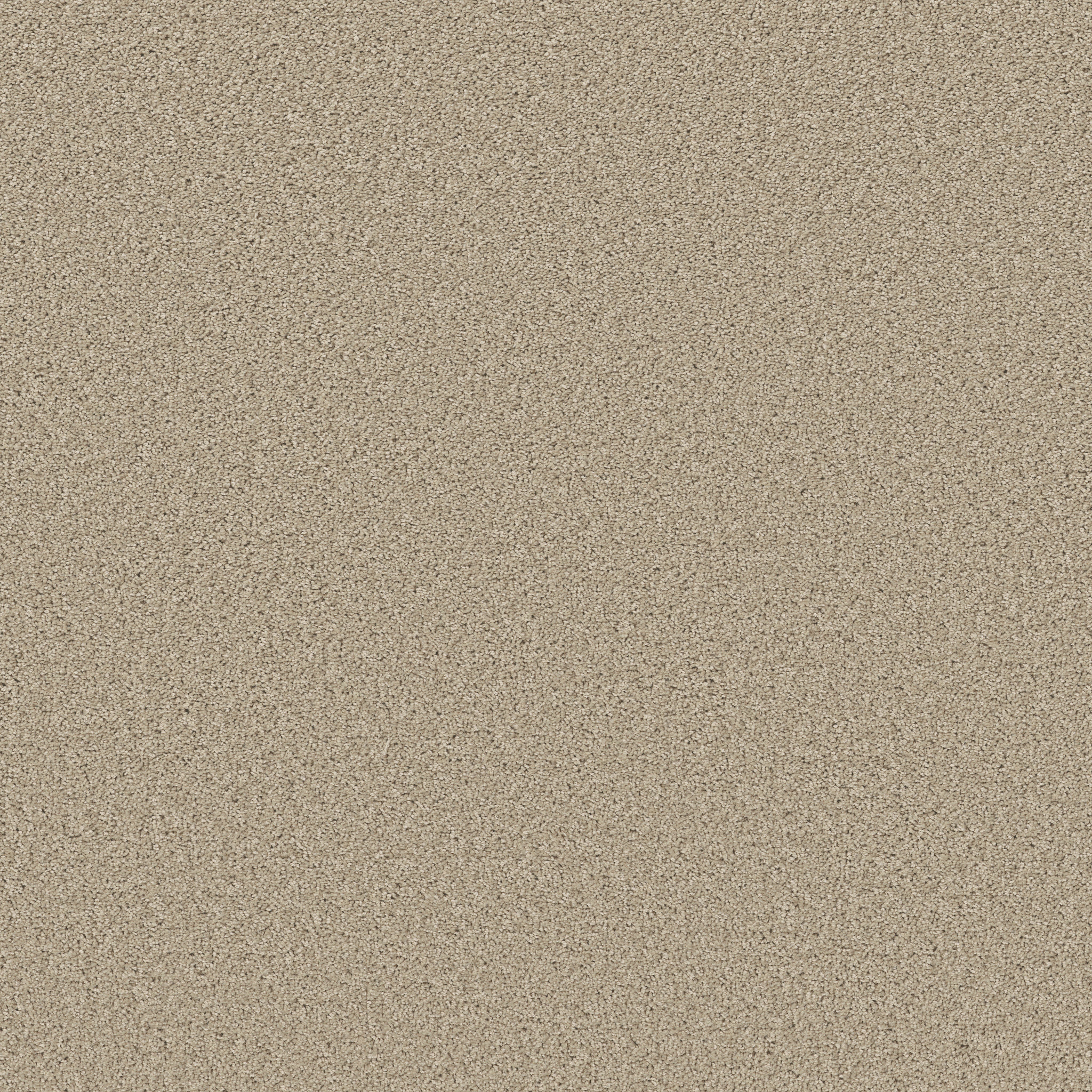 HIGH IMPACT S PARADISE MAIN