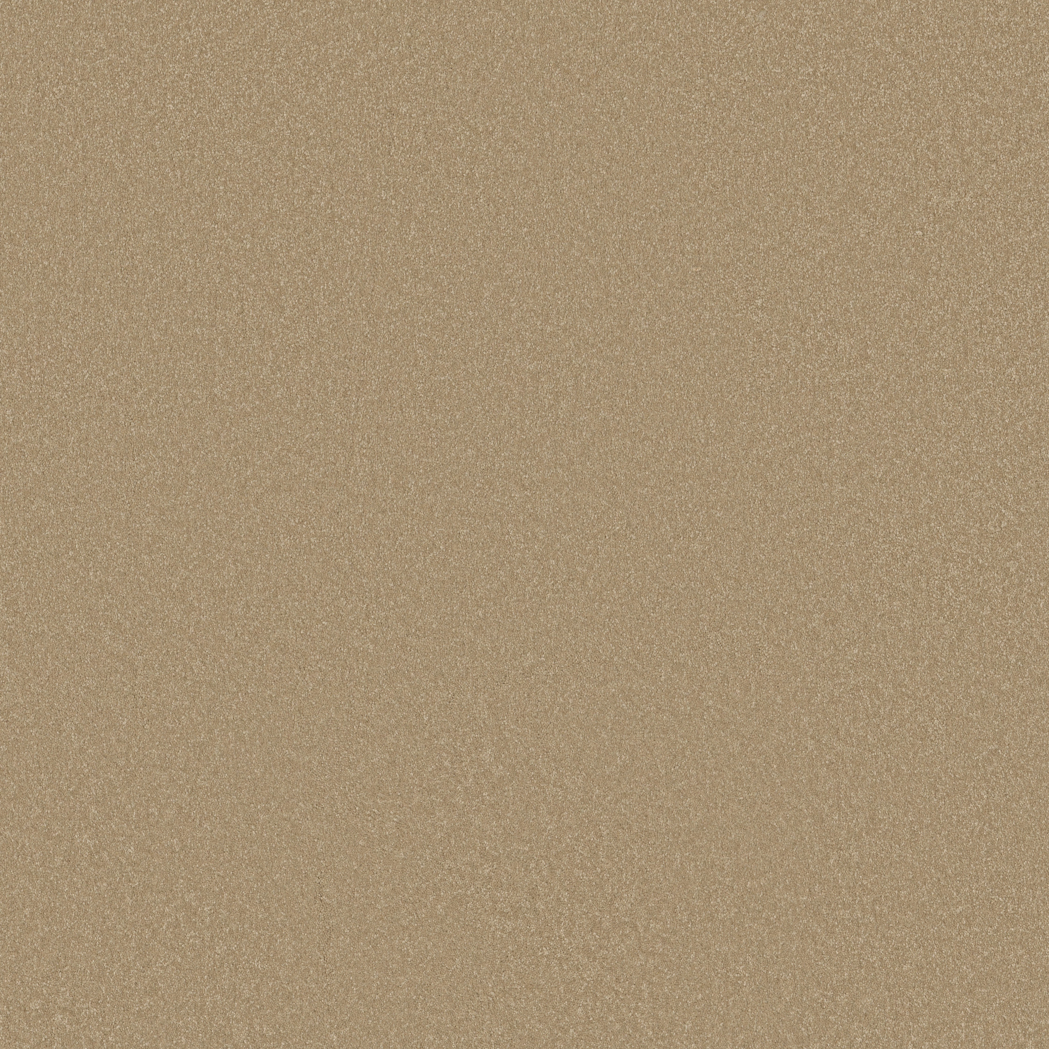 AWAKEN SPIRIT I 12' CLASSIC BUFF MAIN