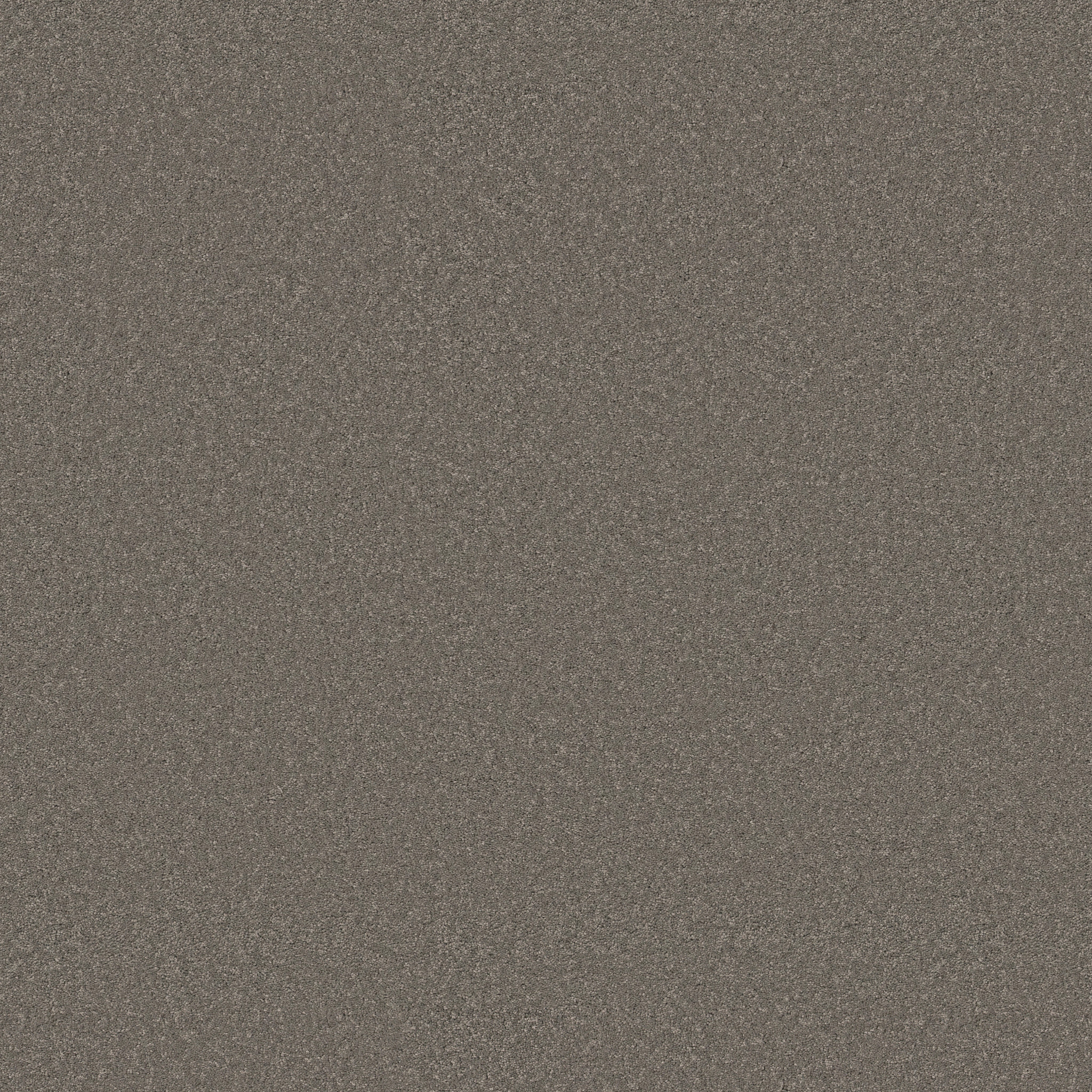 ENDURING CHARM LUNAR ROCK MAIN