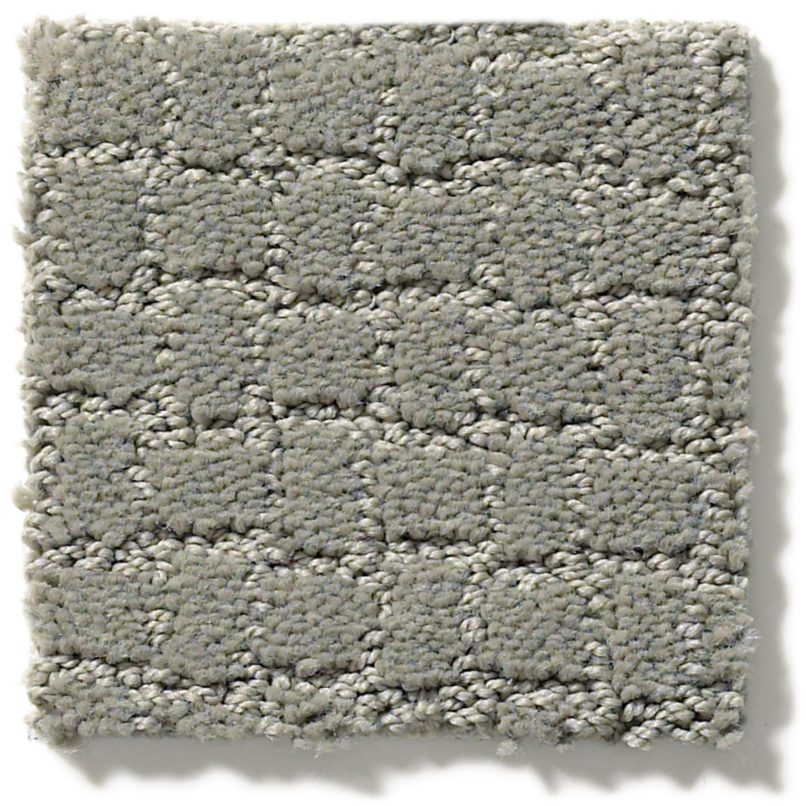 PAWSTRUCK PORTLAND SWATCH