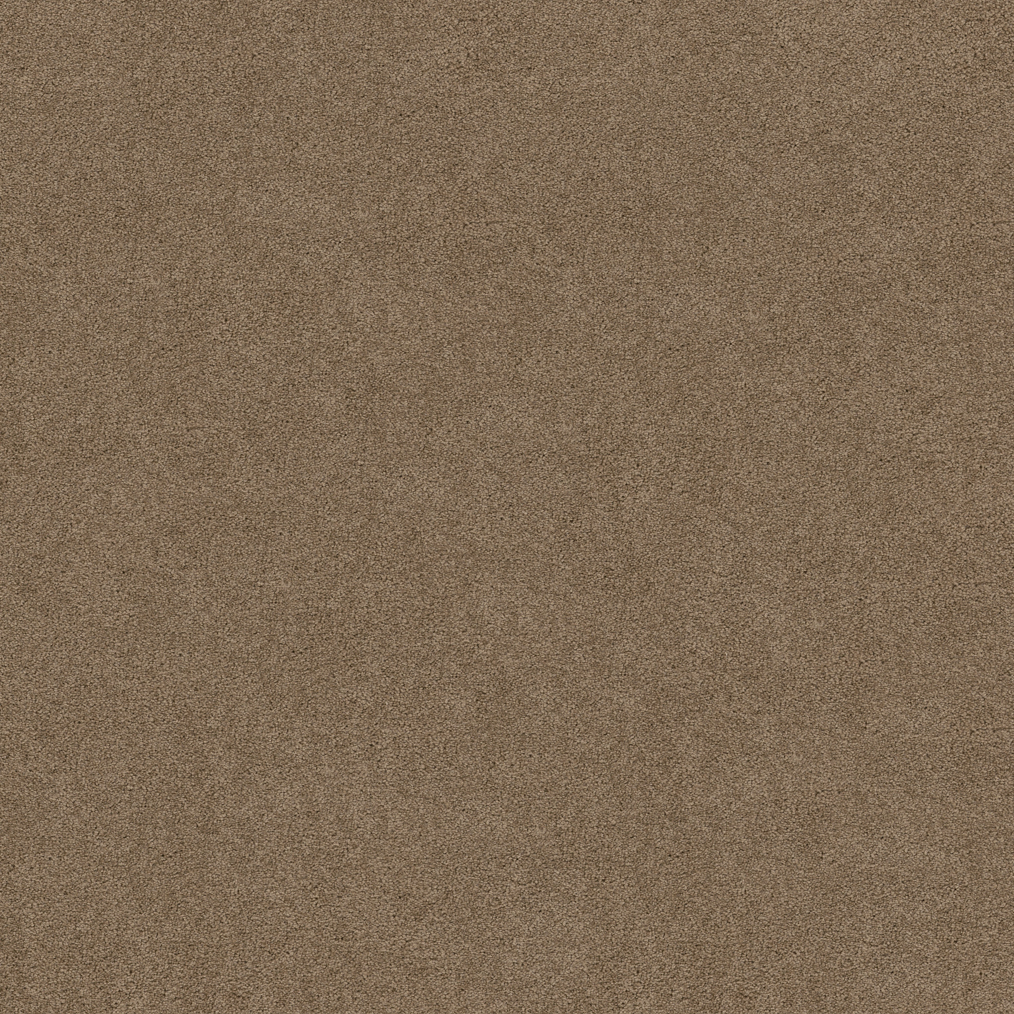 MOMENT OF TRUTH ACORN MAIN