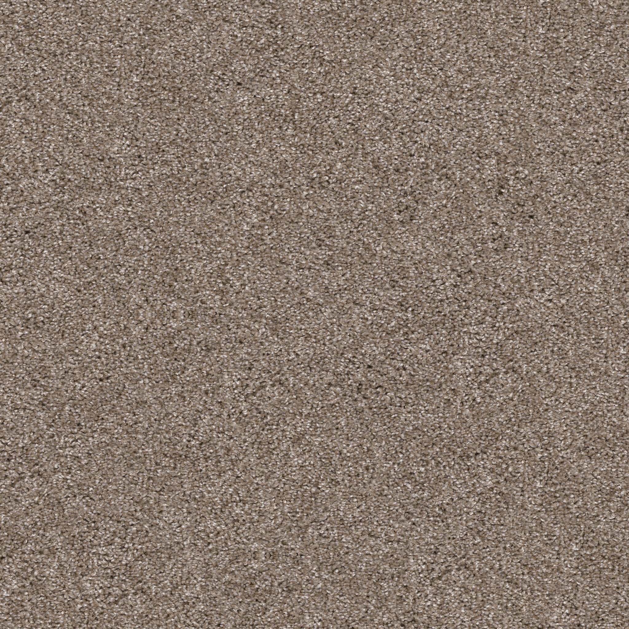 YES YOU CAN II 15' CAMEO MAIN