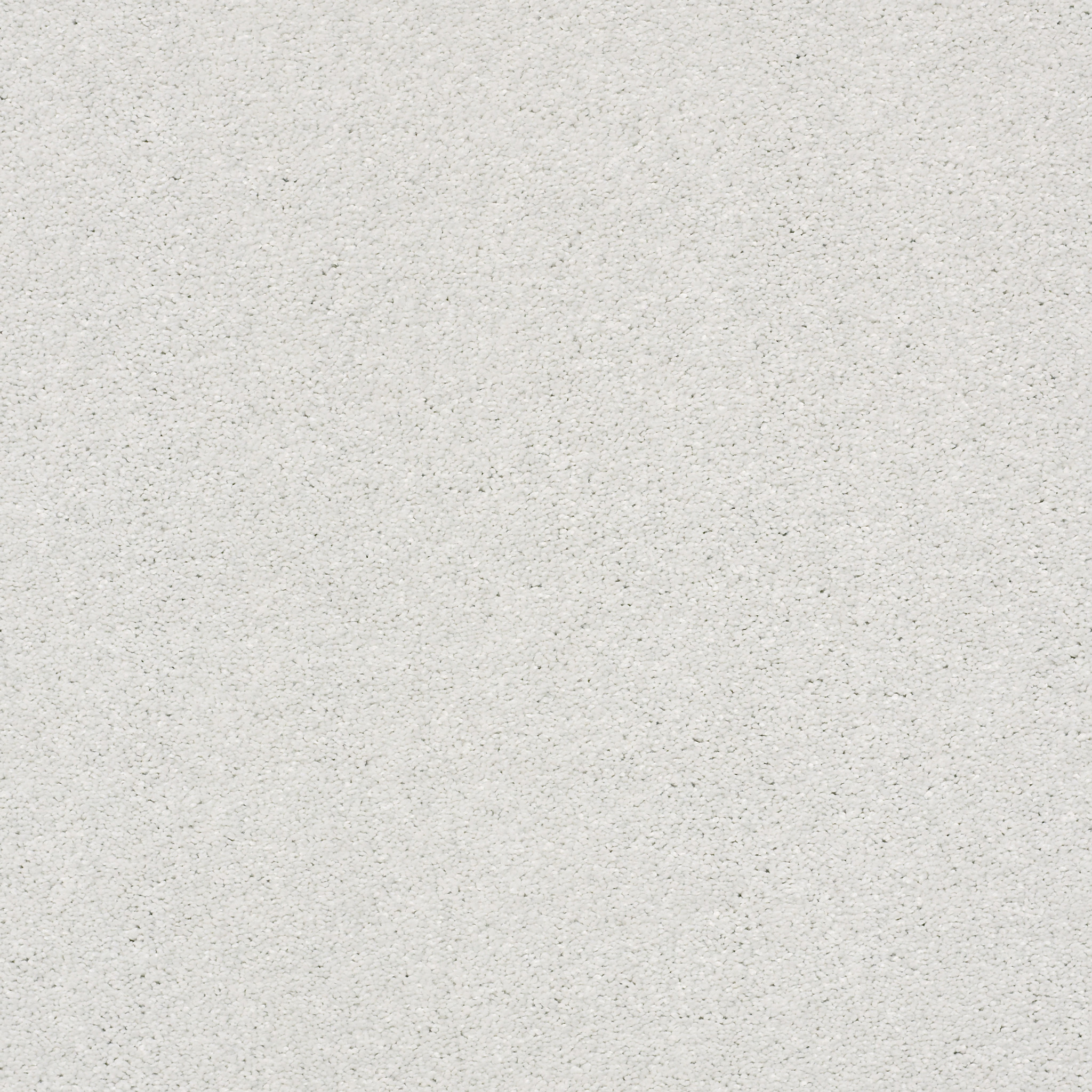 BASIC RULES MIST MAIN