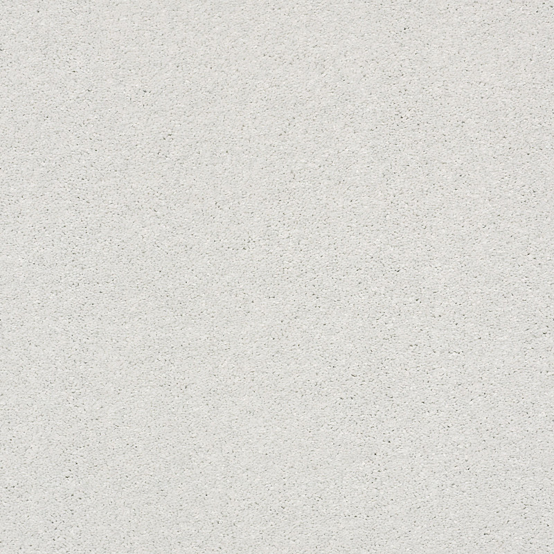 BASIC RULES in Mist by Shaw Floors