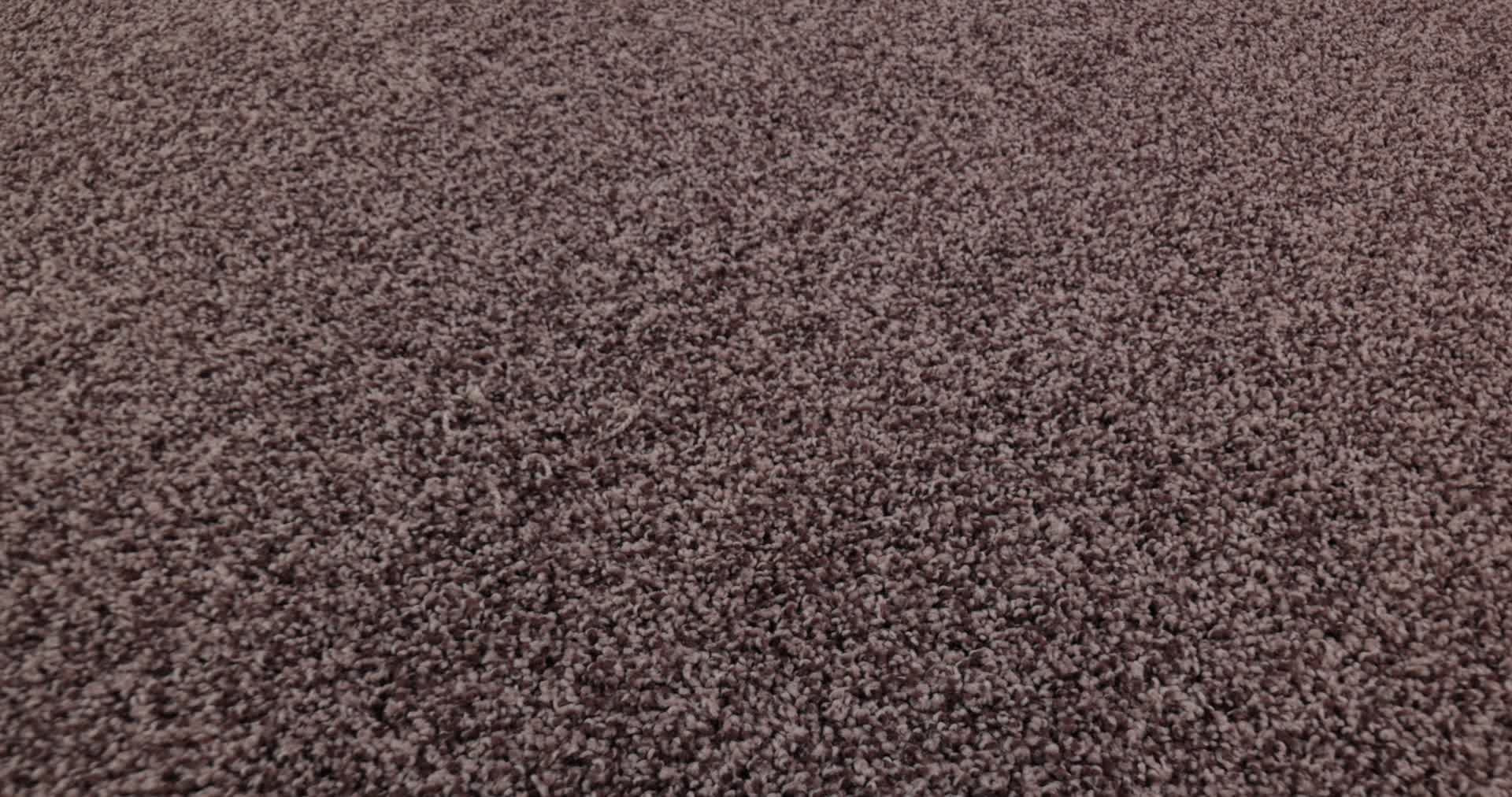 MIRA NOVA REVERIE 360PROD