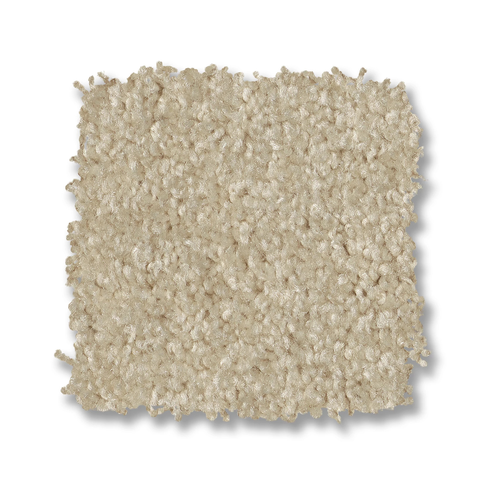 PREMIER ROLE IVORY SWATCH