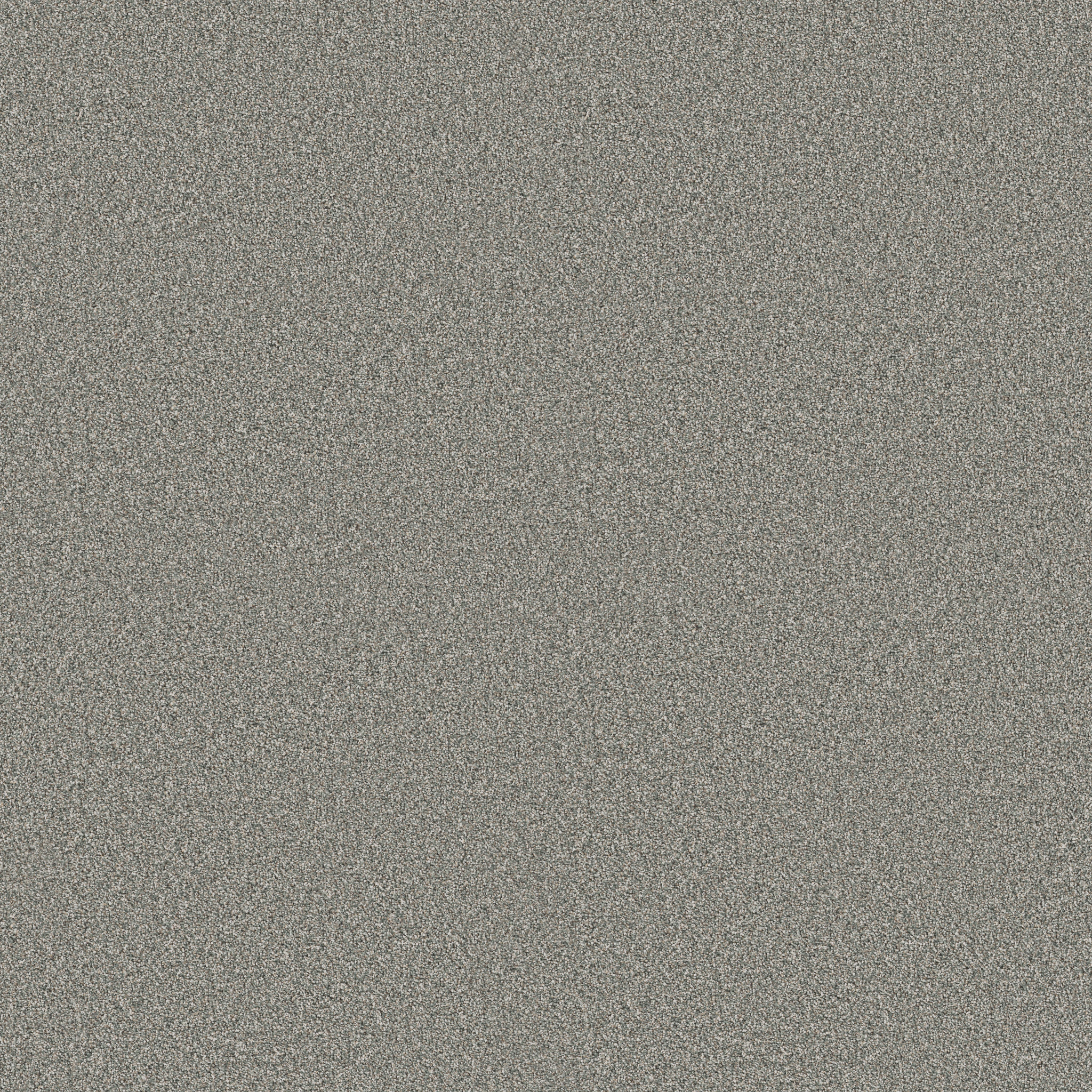 TIMELESS TONE REFRESHING MAIN