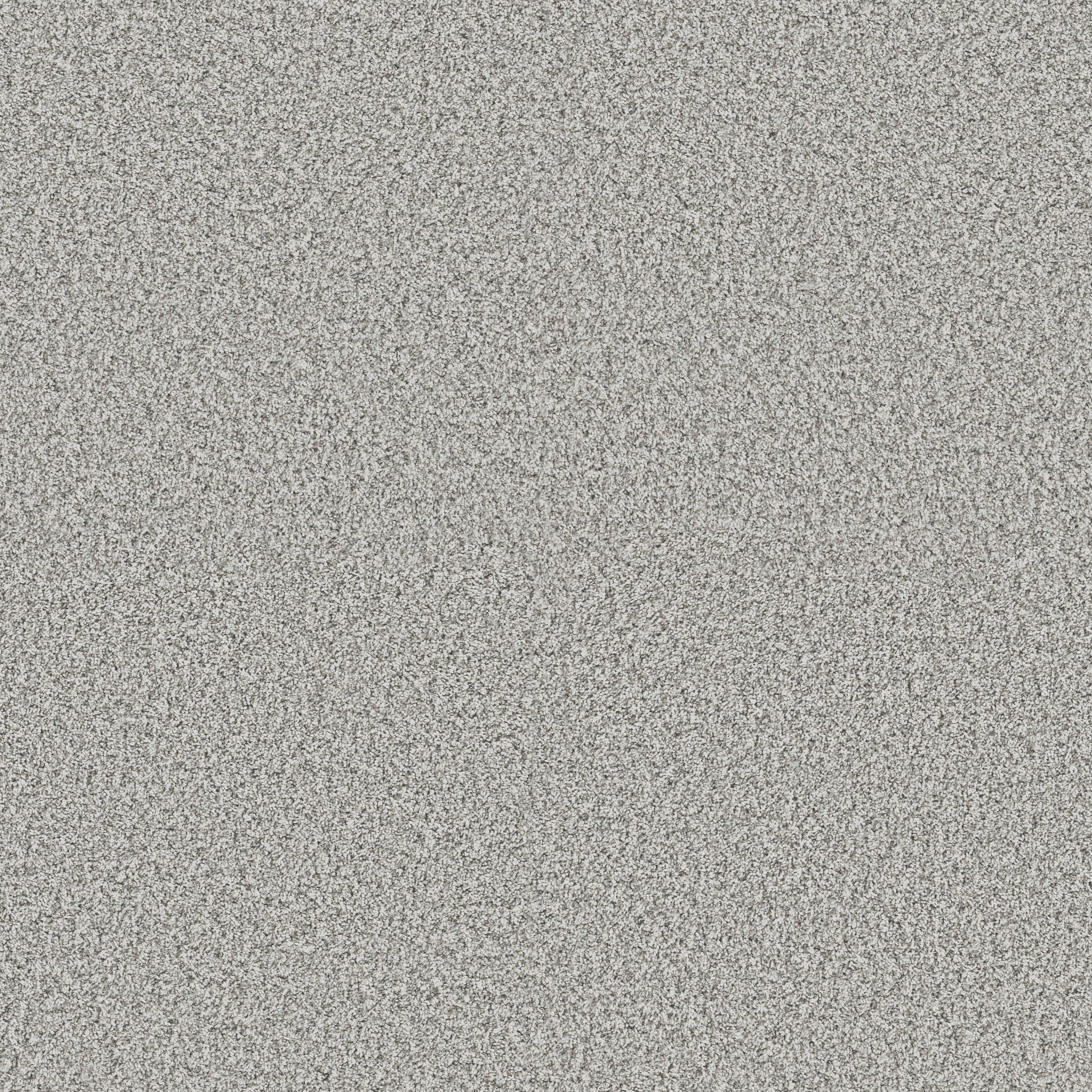 Renewed Energy I SNOW BOUND MAIN