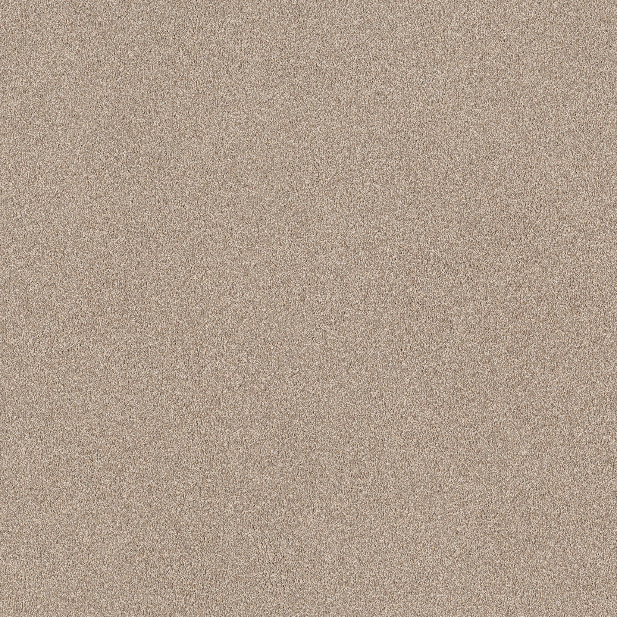 TONAL COMFORT II MY HAVEN MAIN