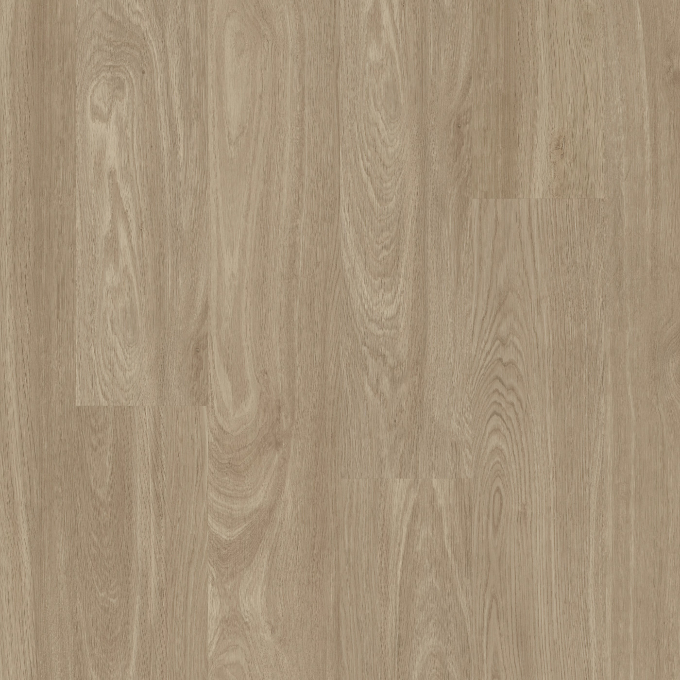 Sandstone swatch