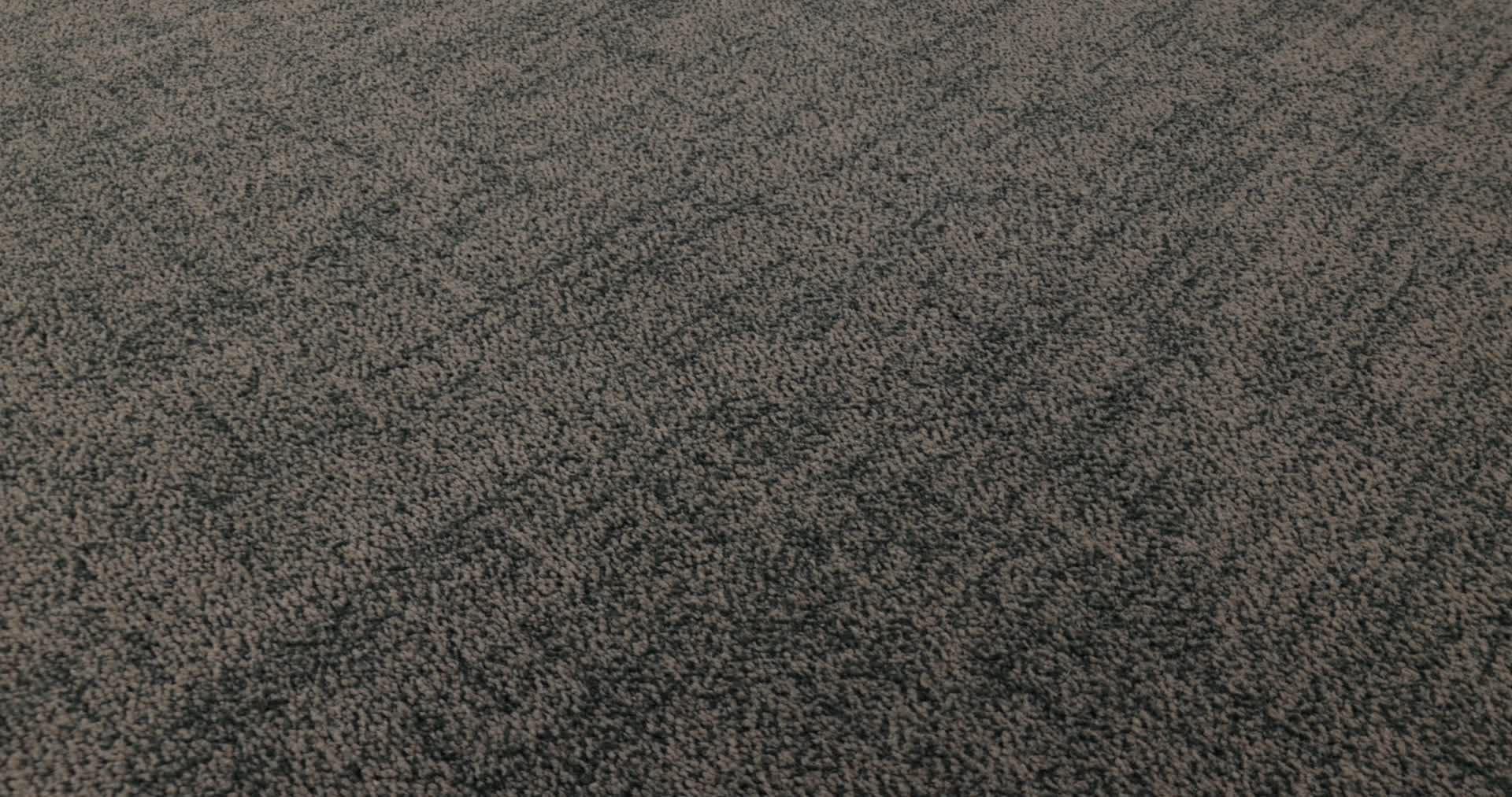 SILHOUETTE PEACOCK 360PROD