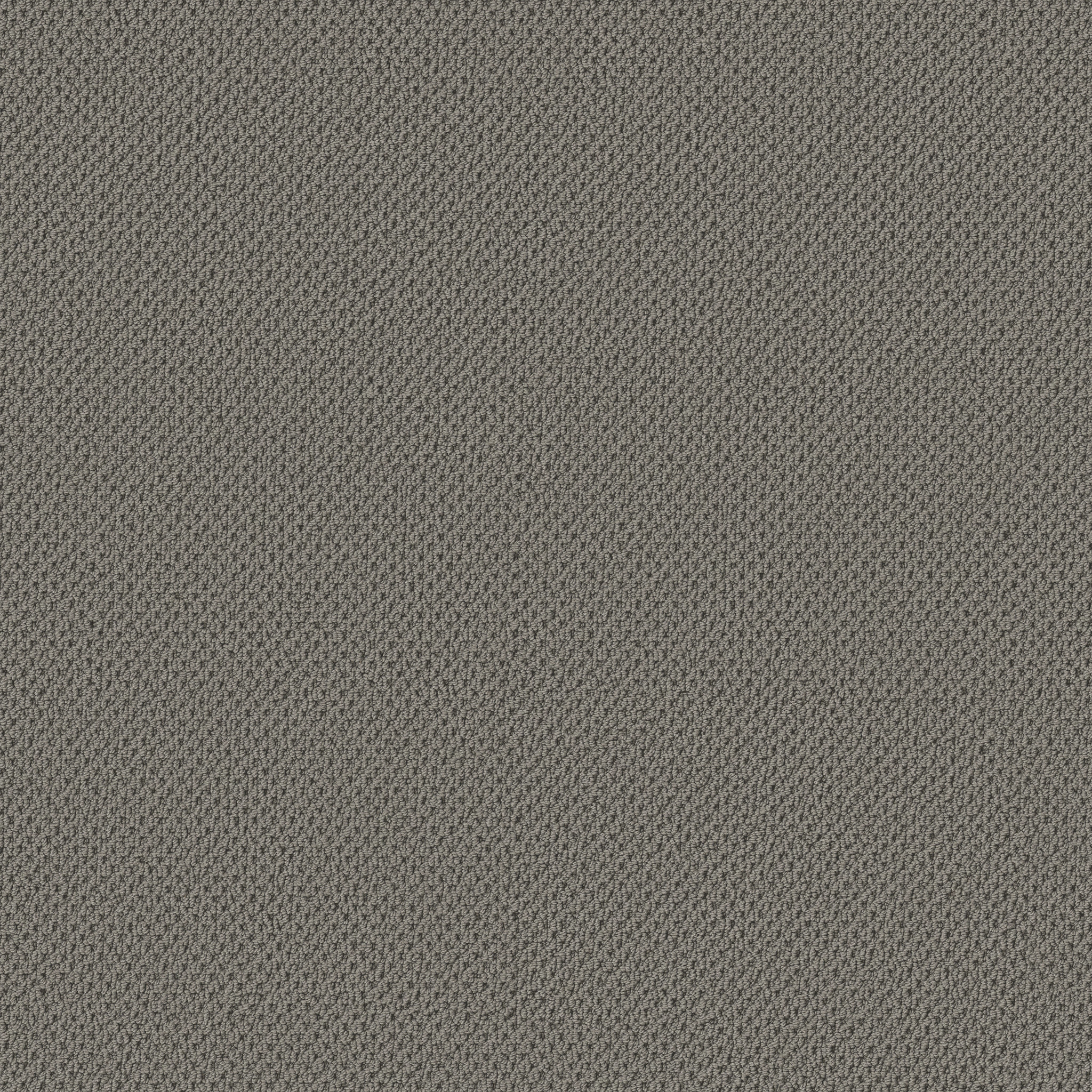 GRACIOUS INTELLECTUAL MAIN