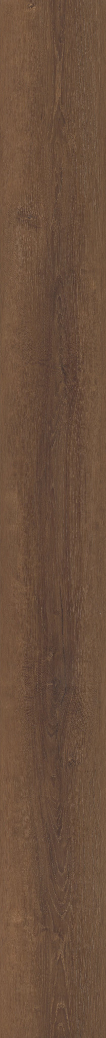 GRANDE ALETA OAK 1TO1