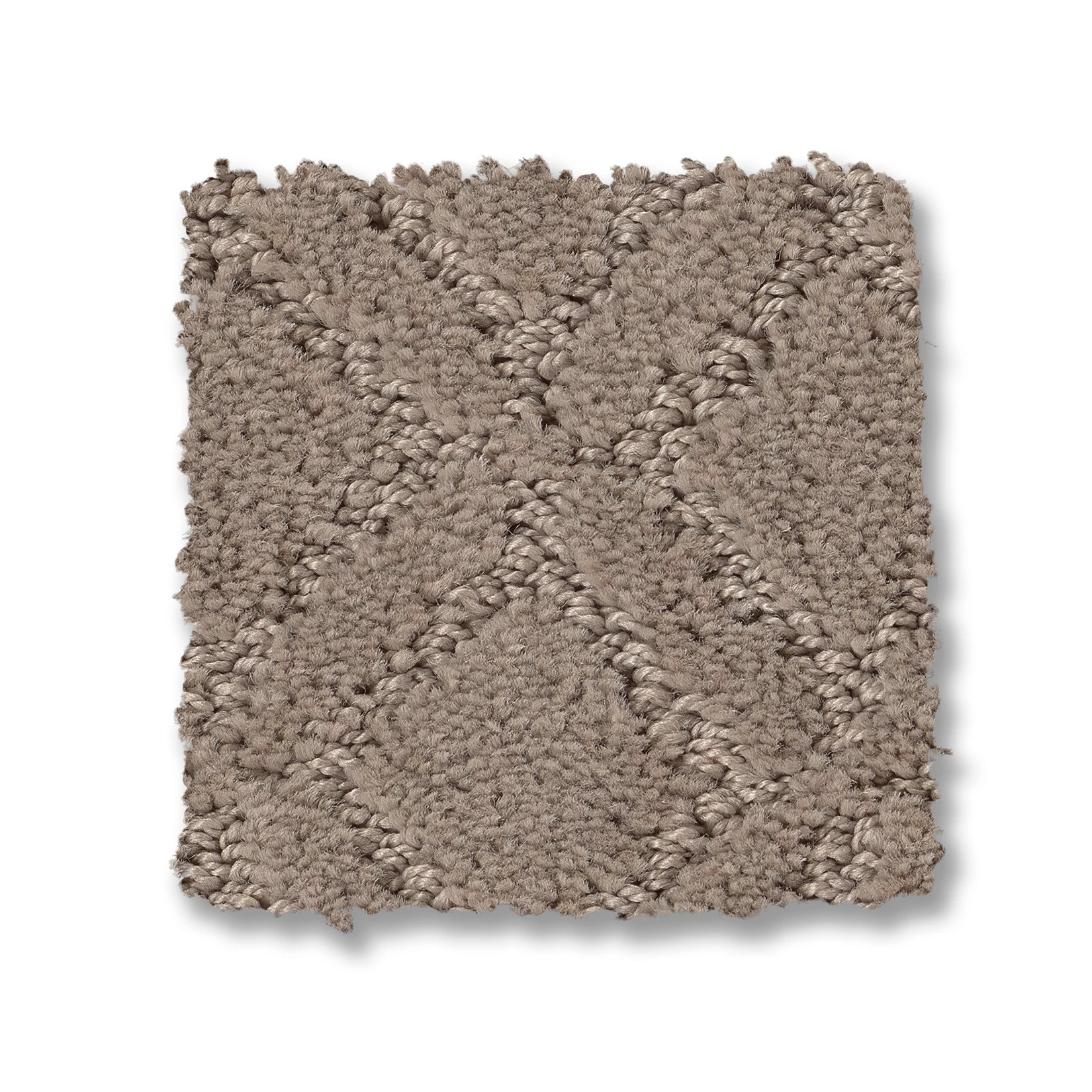 MUSE SOCIALITE SWATCH