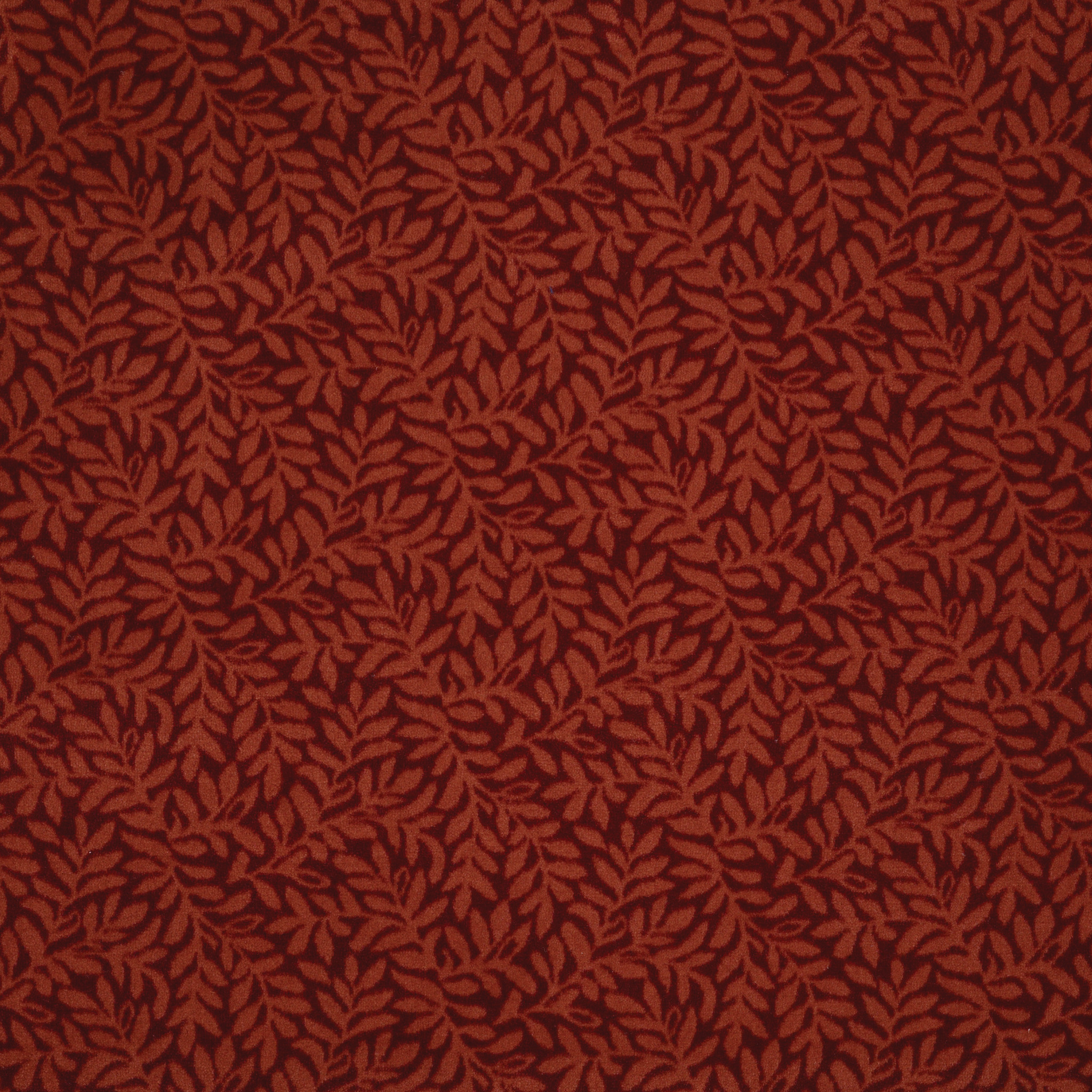 SUITE-RETREAT-54518-CARLOWAY-18800-main-image