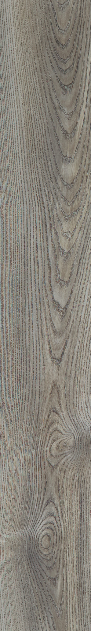 ANVIL PLUS GREY CHESTNUT 1TO1