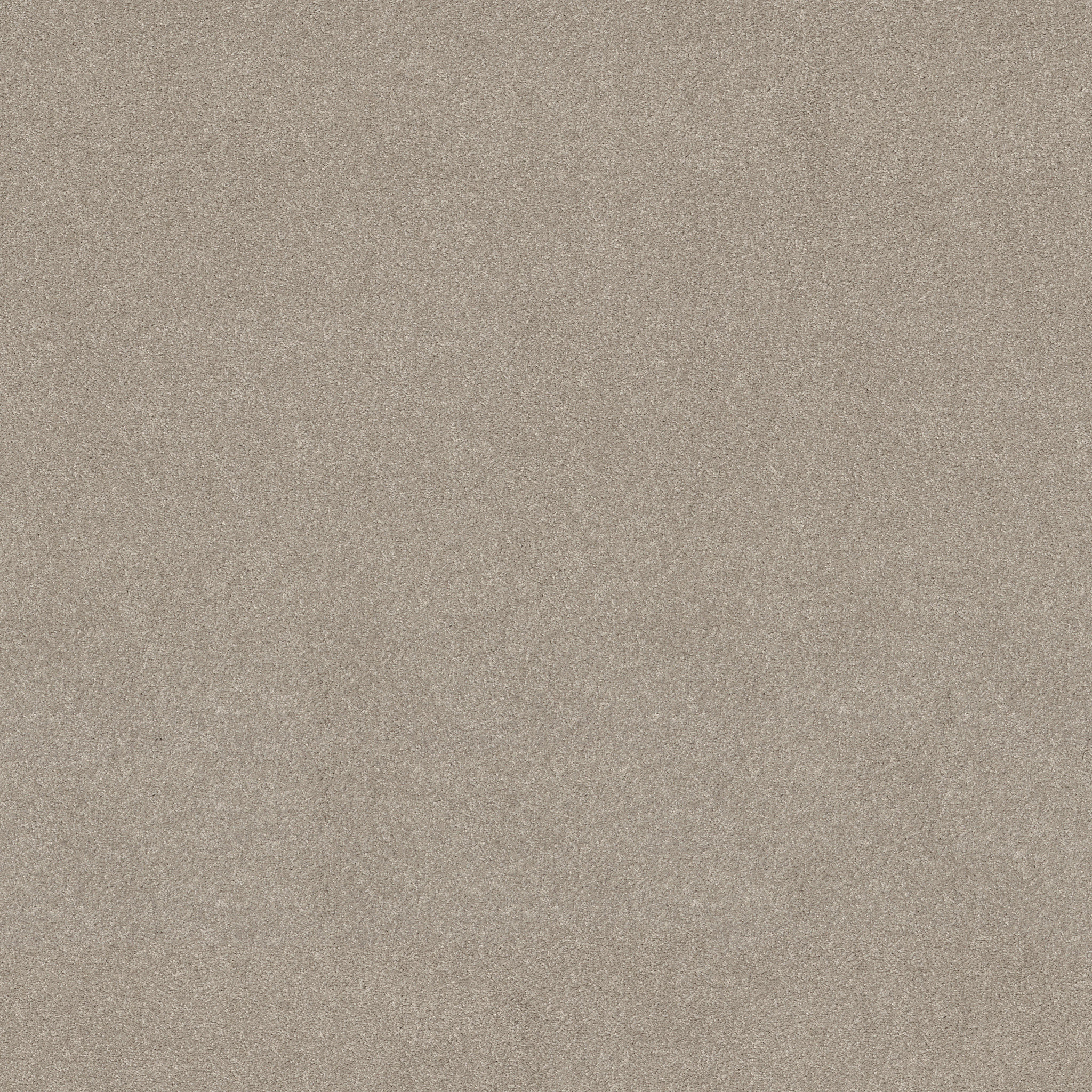 OPPORTUNITY KNOCKS GREIGE MAIN